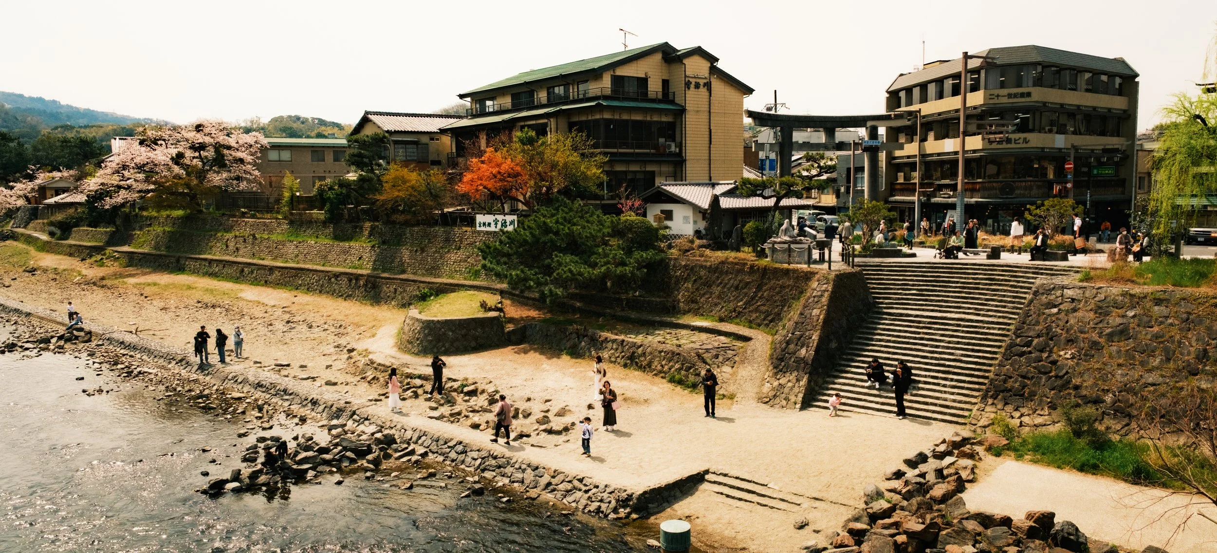Hanami-7577.jpg