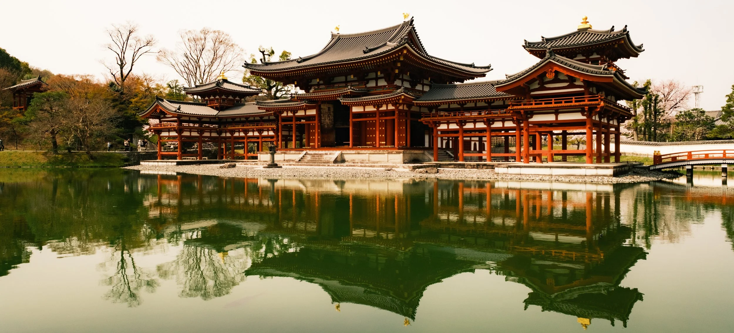 Hanami-7532.jpg