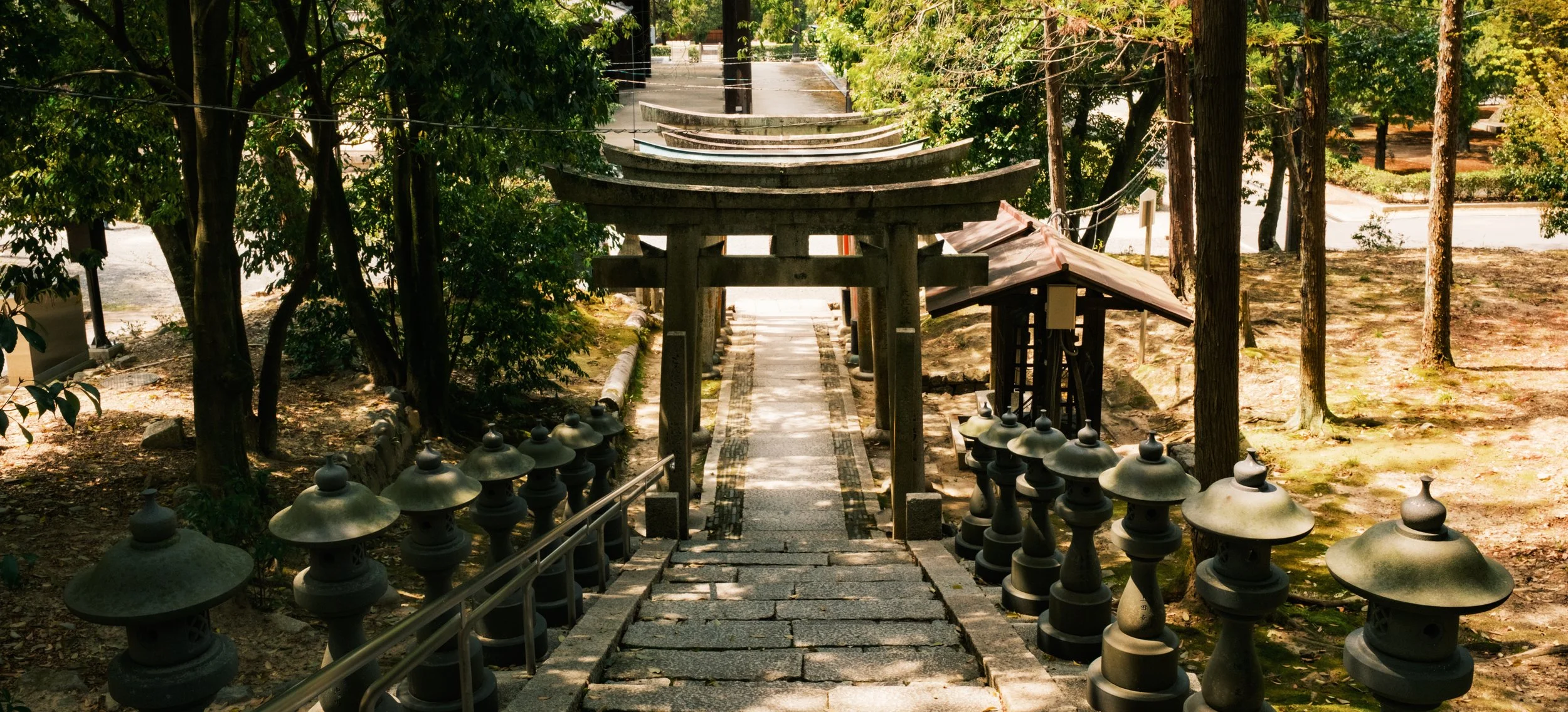 Hanami-7637.jpg