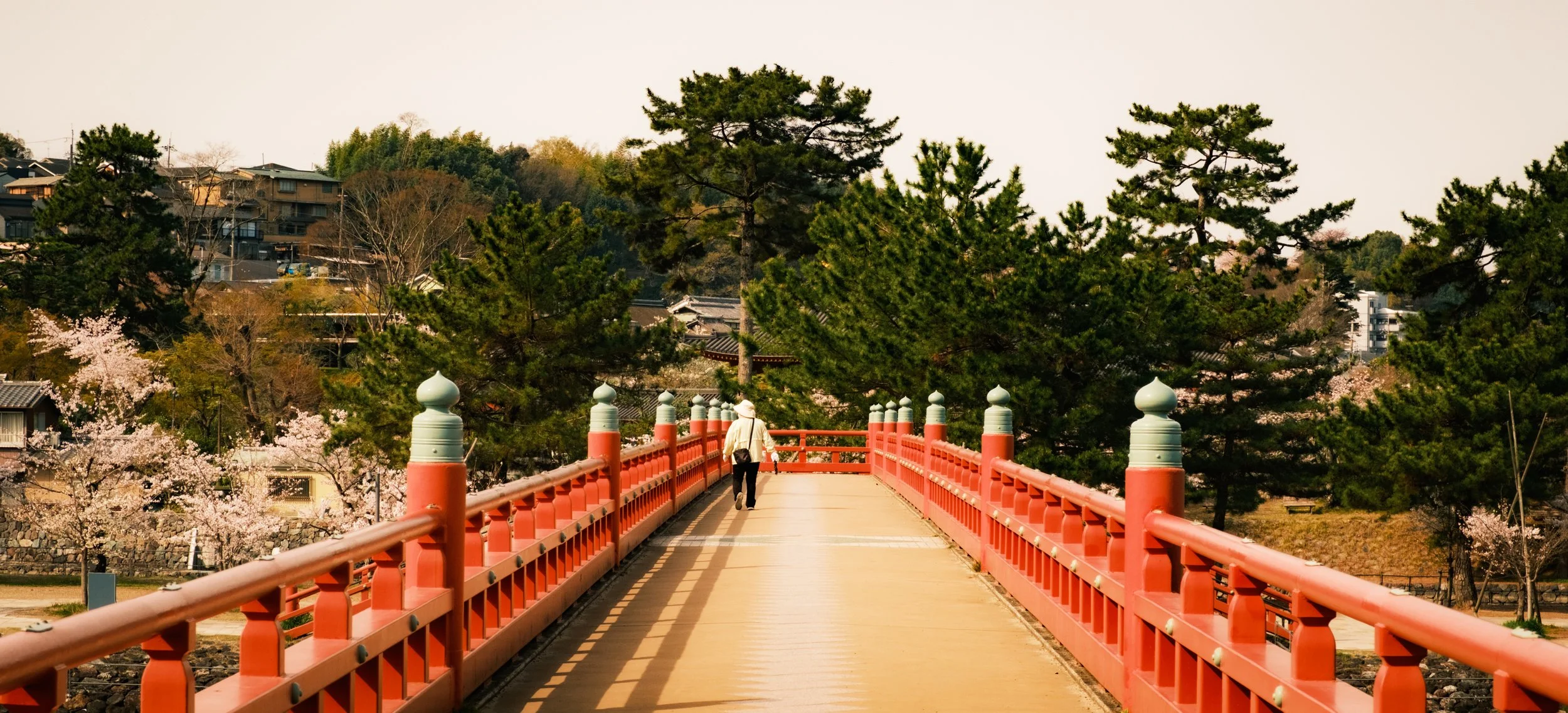 Hanami-7469.jpg