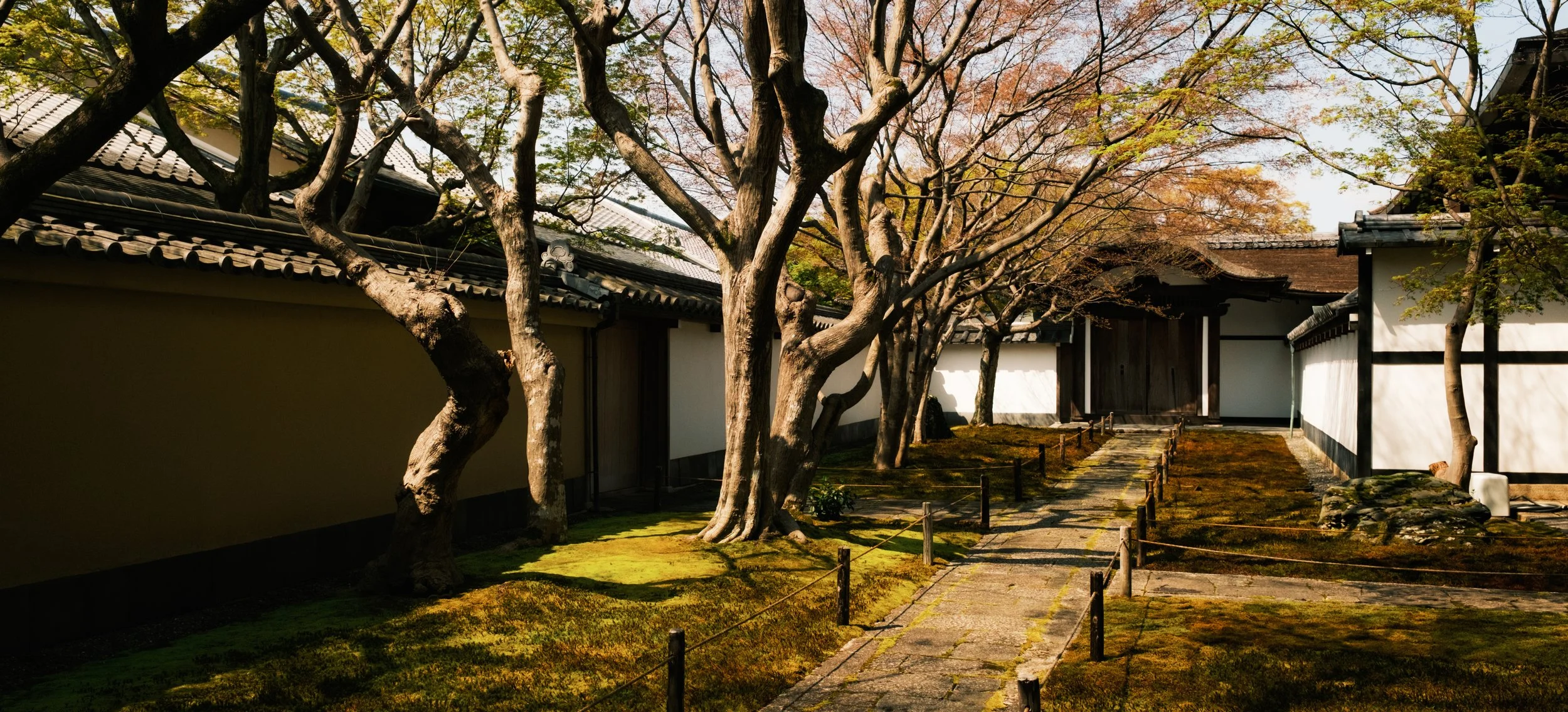 Hanami-8235.jpg