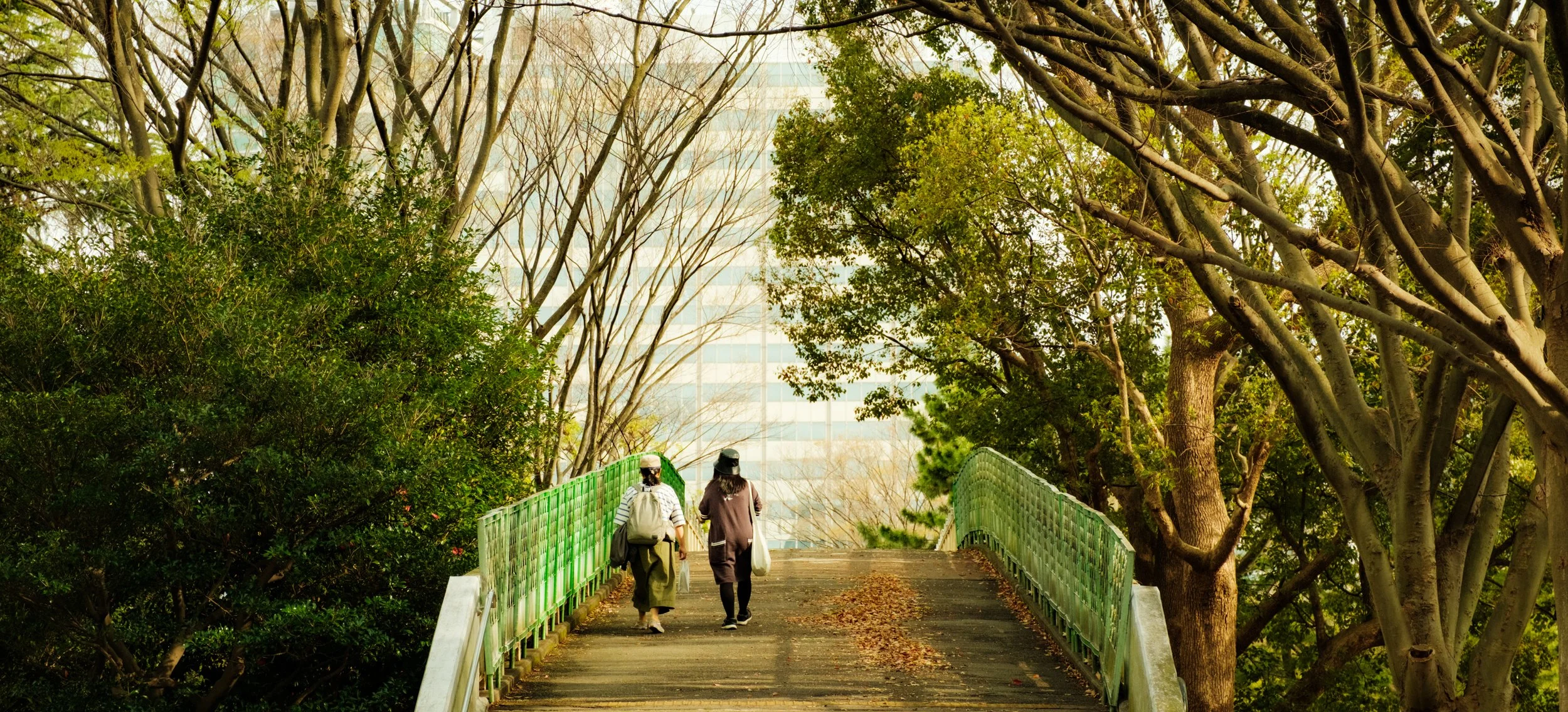 Hanami-776.jpg