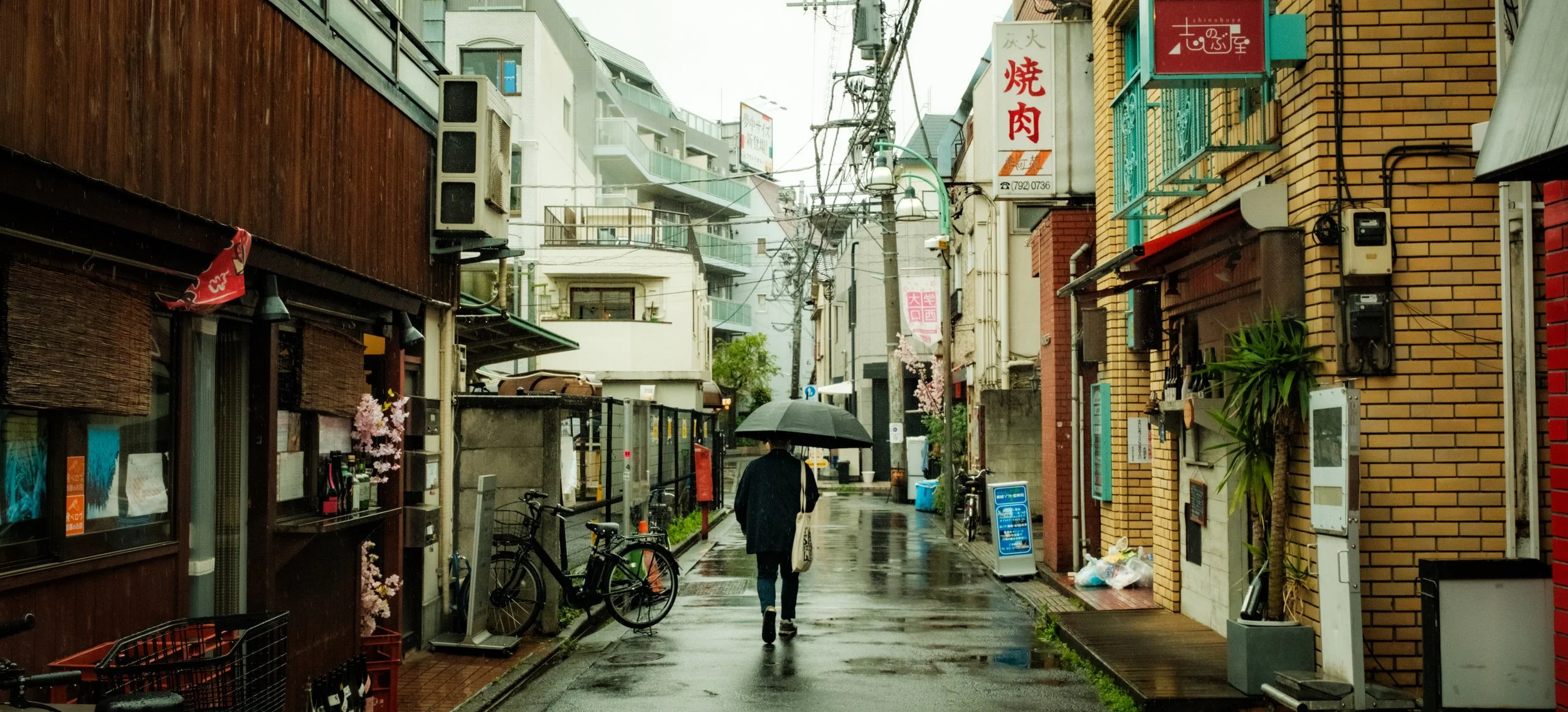 Hanami-10337.jpg