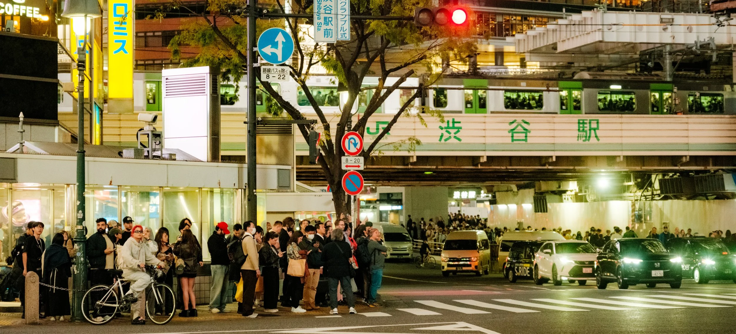 Hanami-12469.jpg
