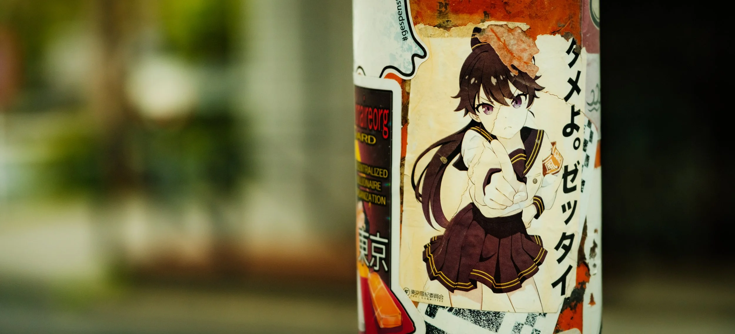 Hanami-10663.jpg