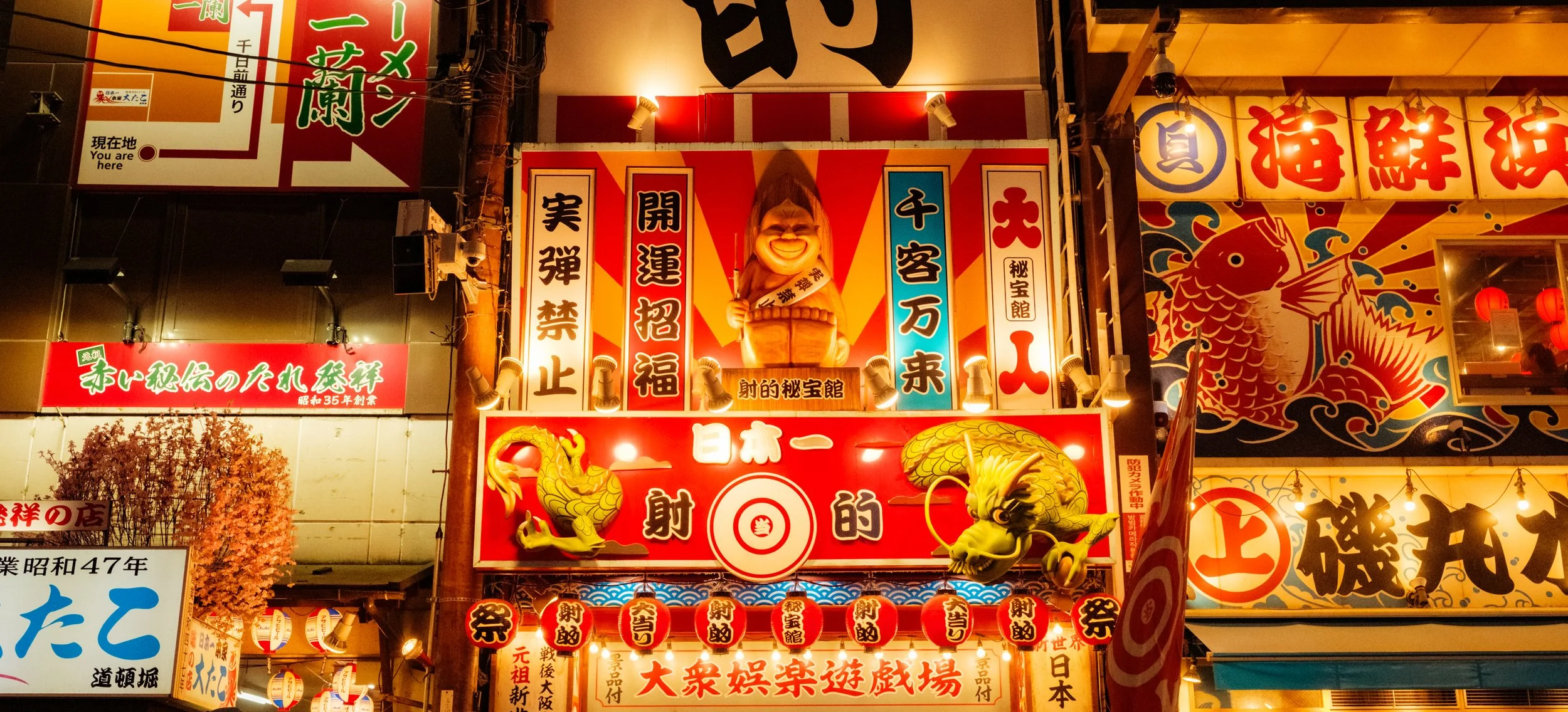 Hanami-5608.jpg