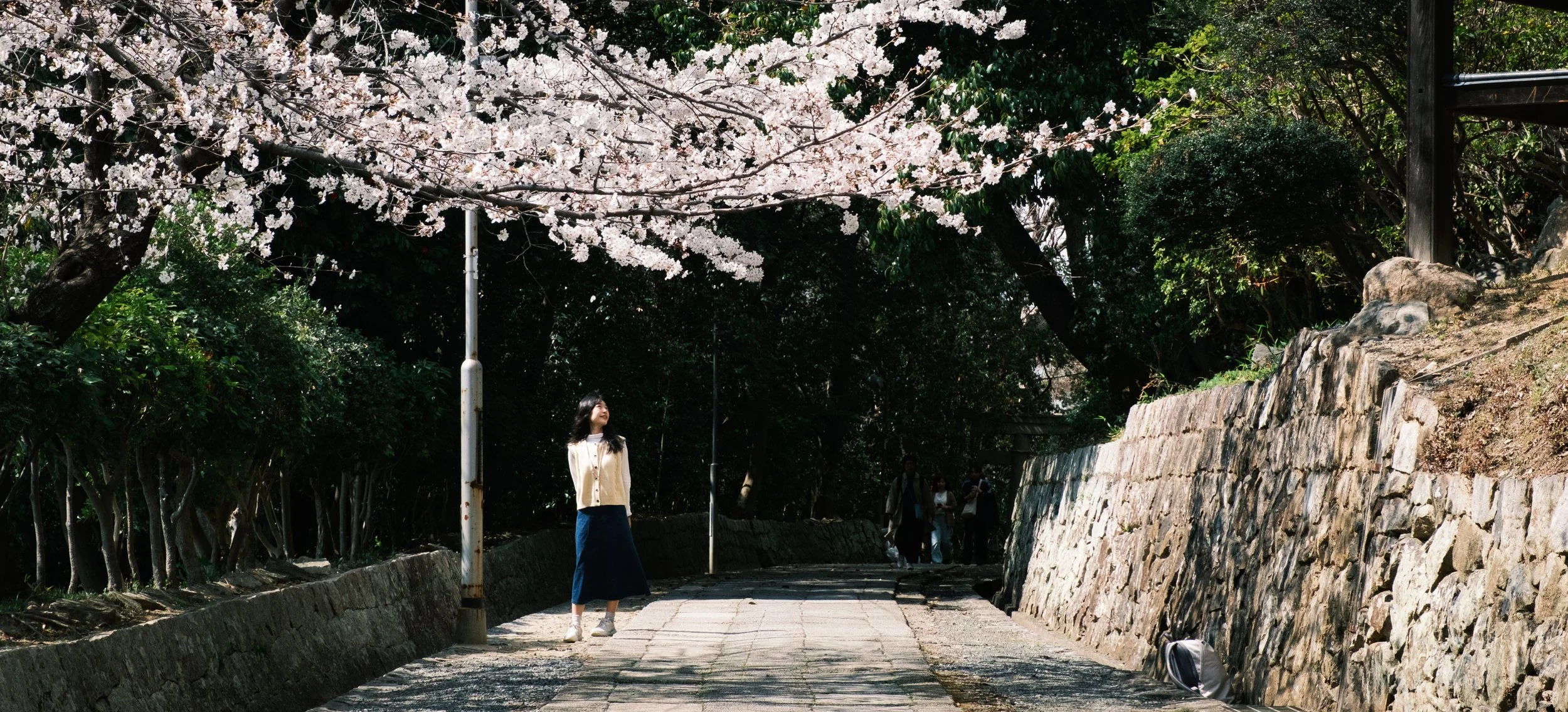 Hanami-4360.jpg