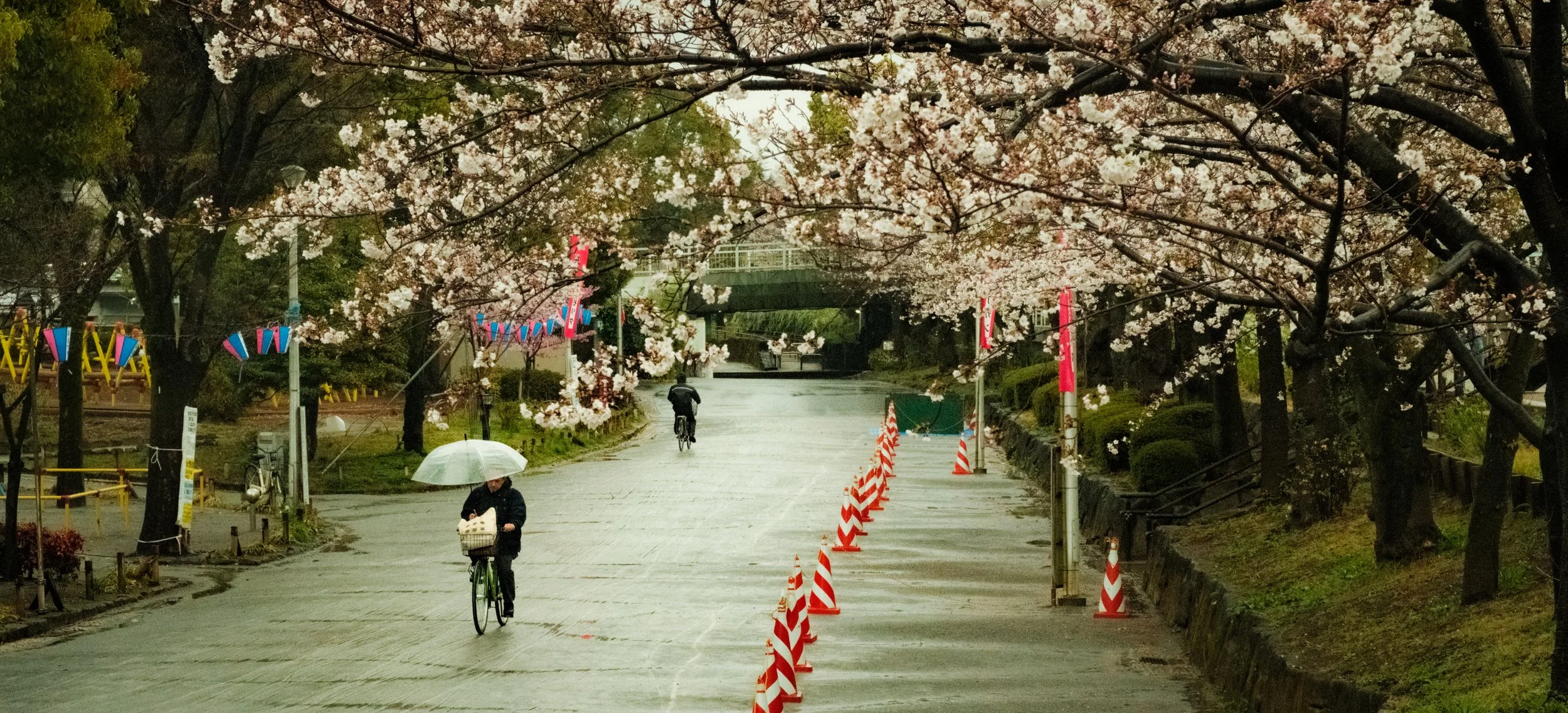 Hanami-973.jpg