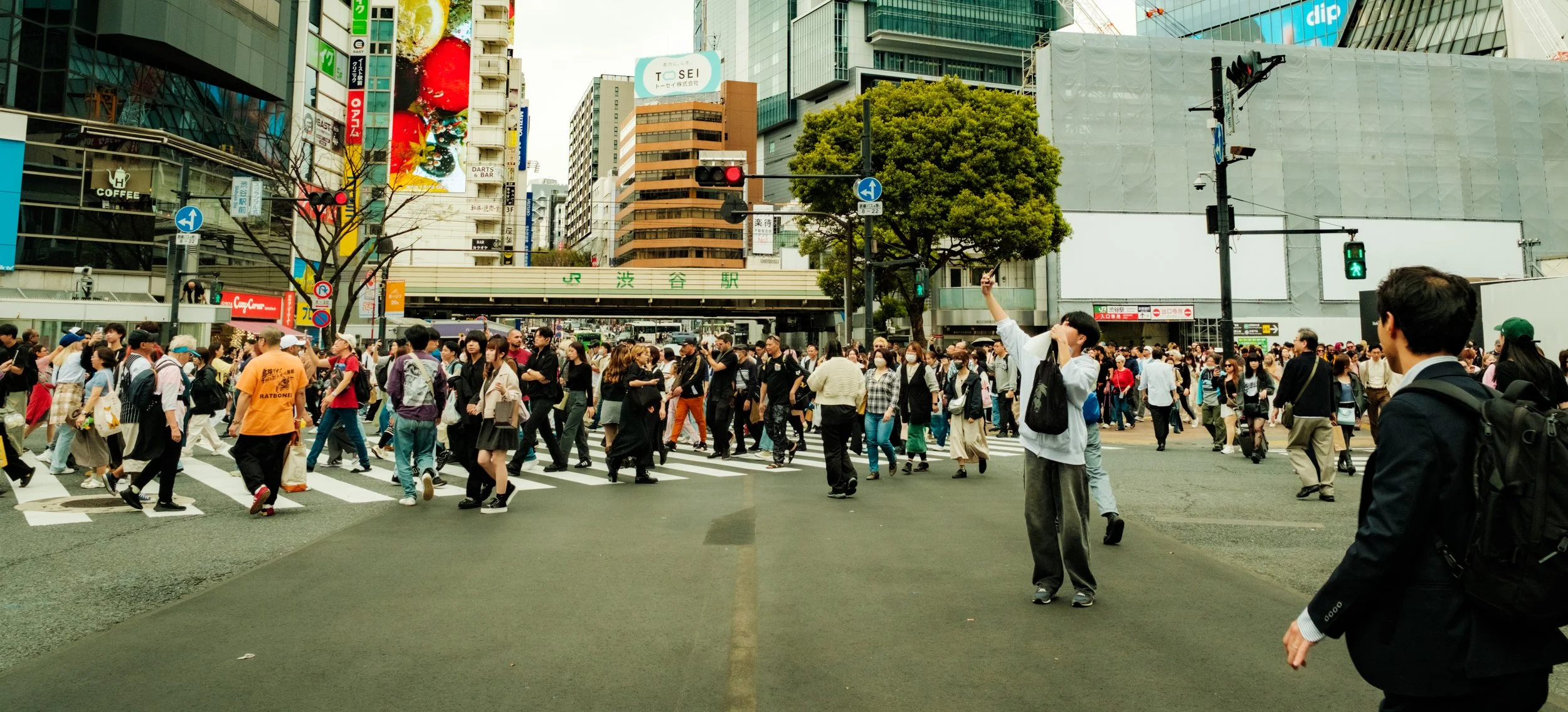 Hanami-588.jpg