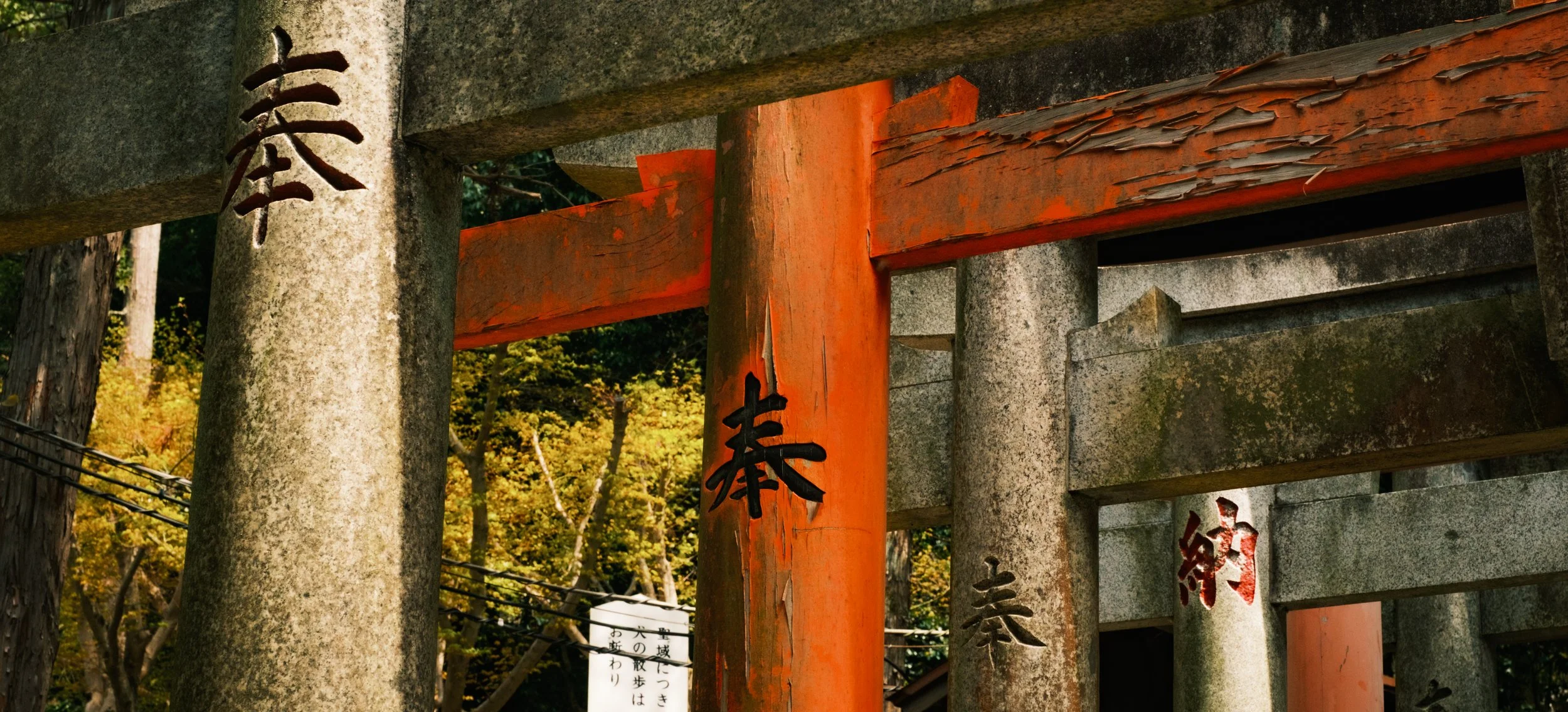 Hanami-7633.jpg