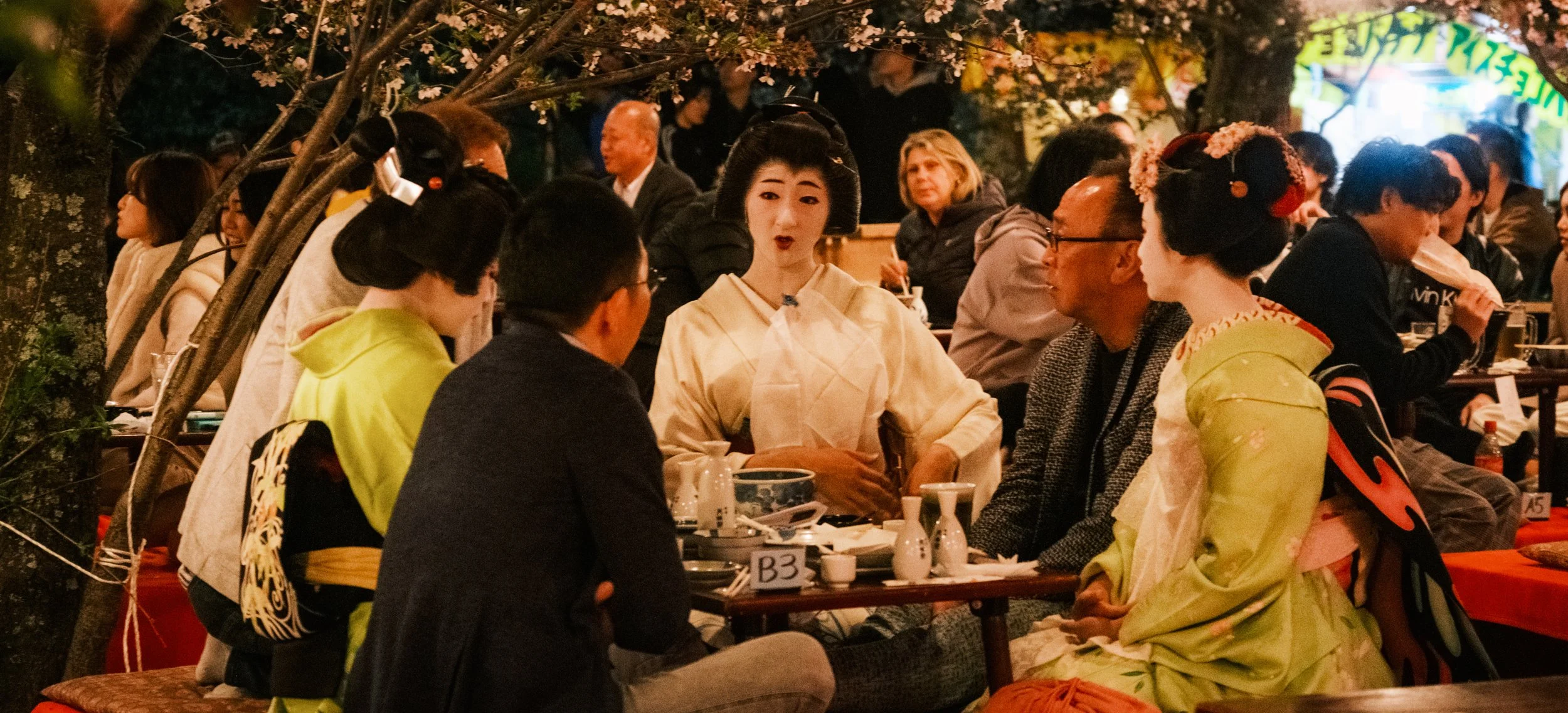 Hanami-9811.jpg