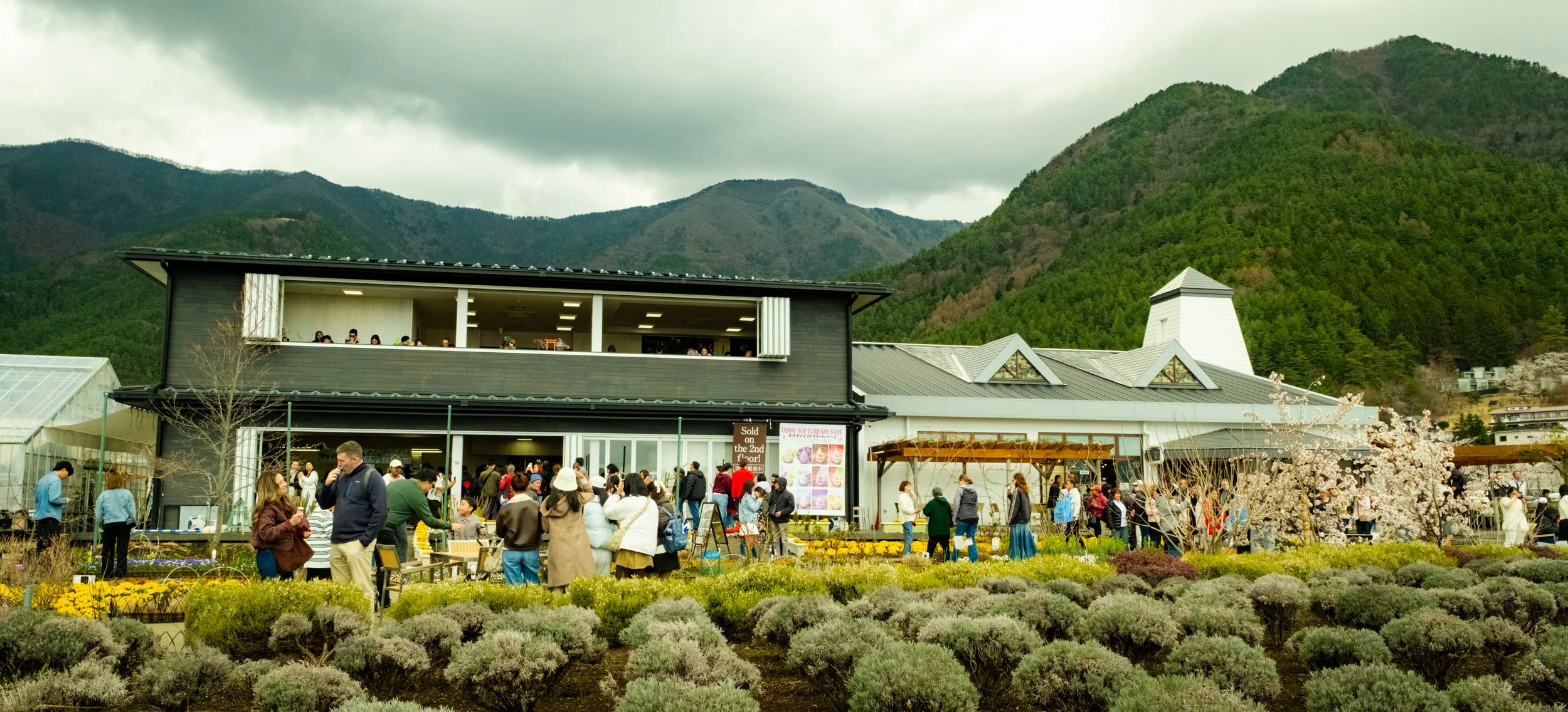 Hanami-11200.jpg