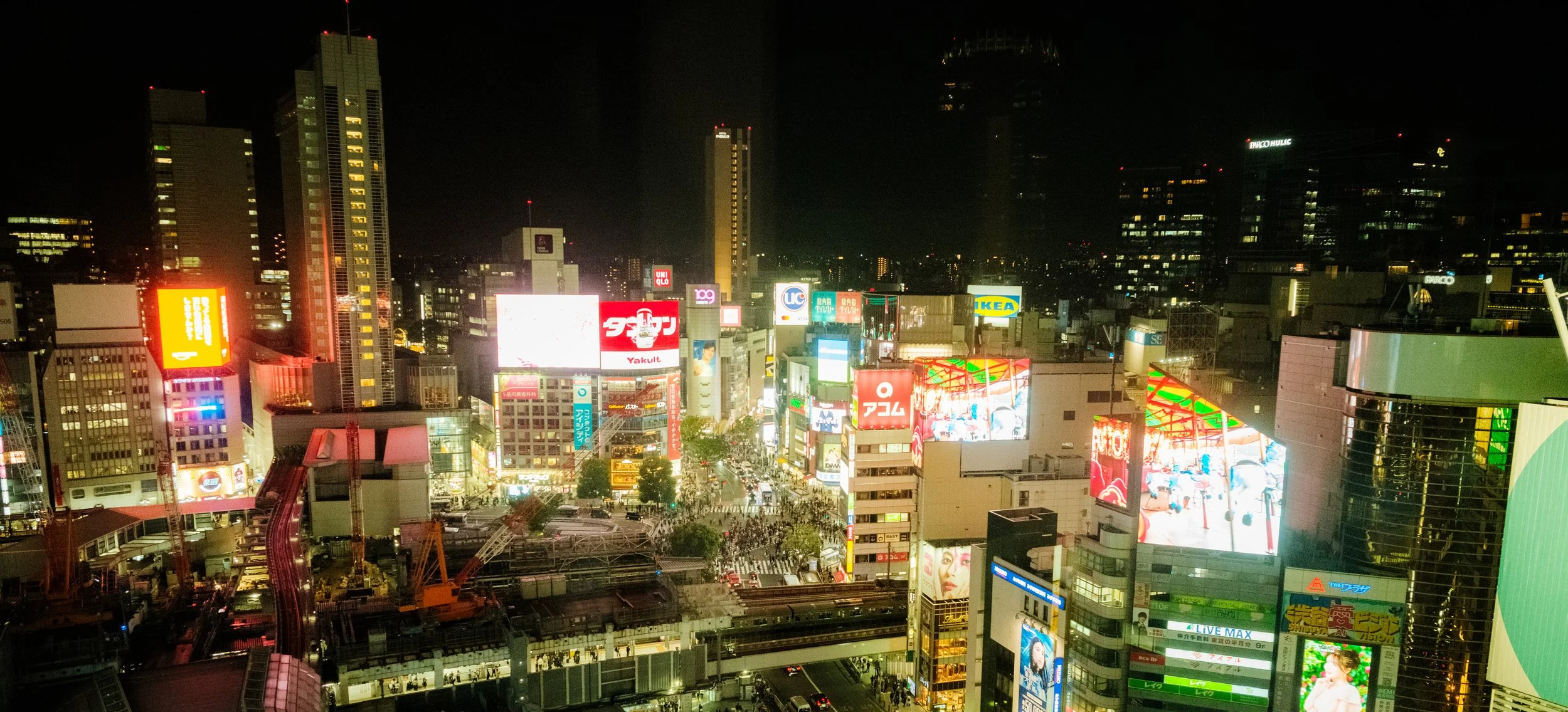 Hanami-12554.jpg