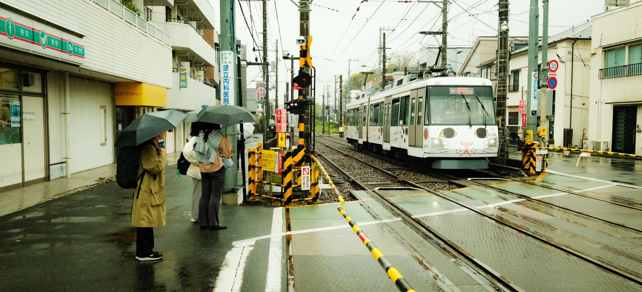 Hanami-10503.jpg