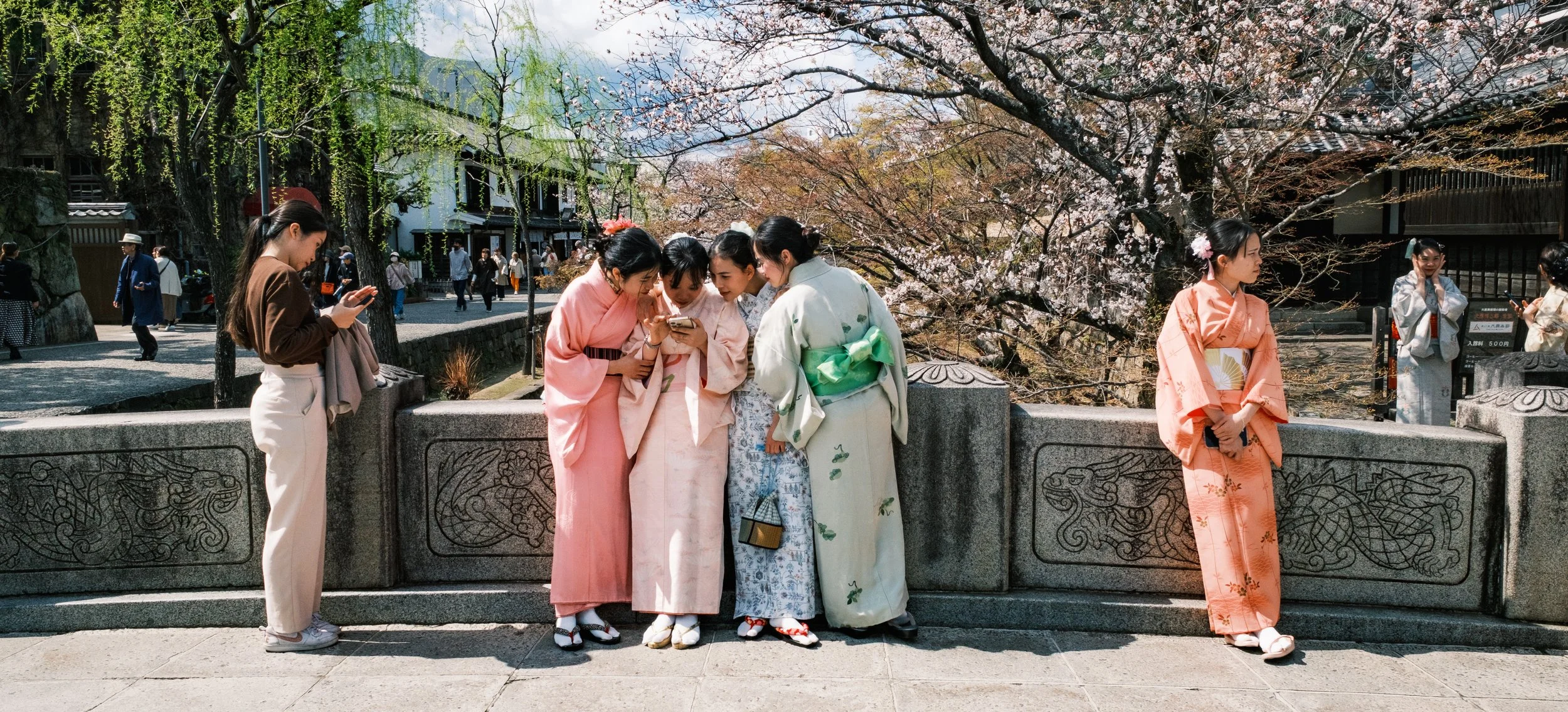 Hanami-4328.jpg