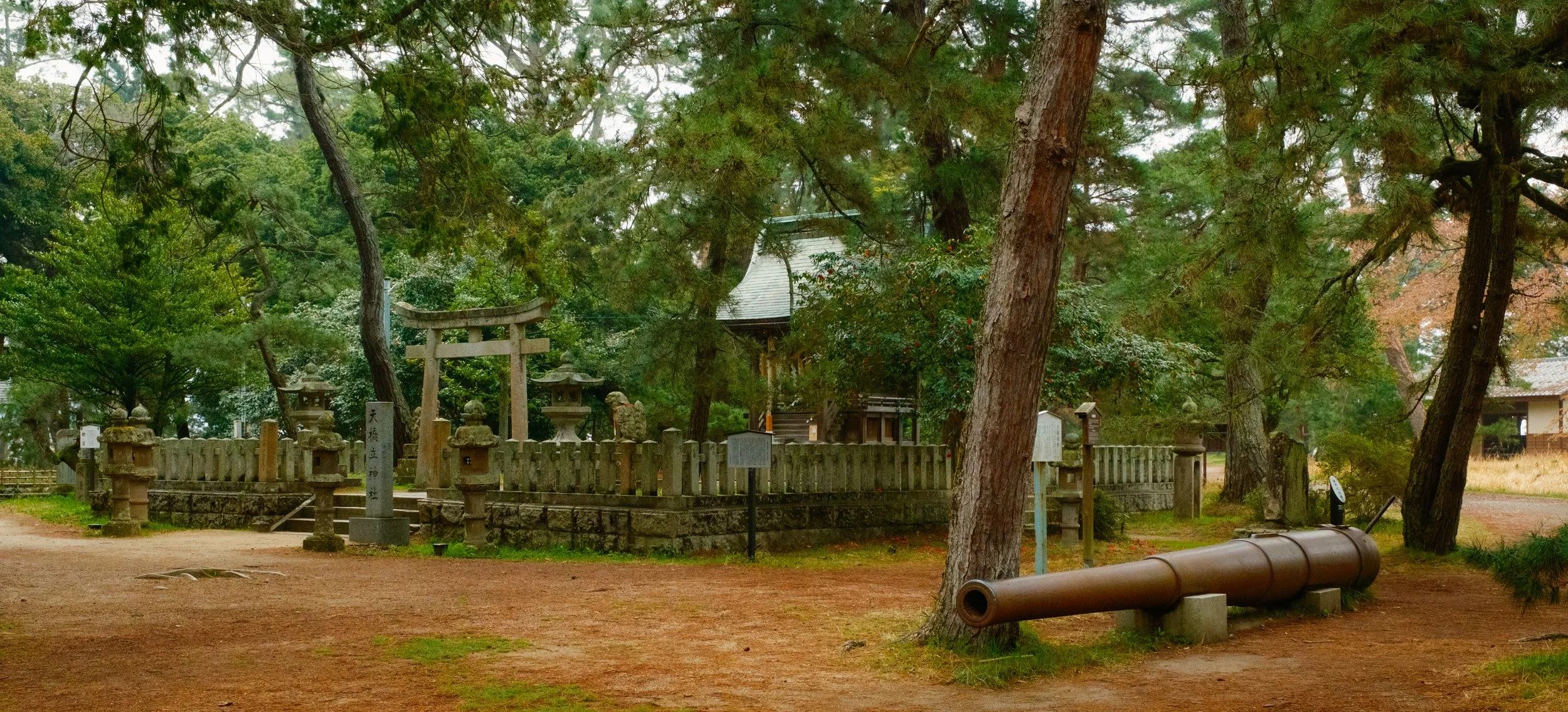 Hanami-9291.jpg