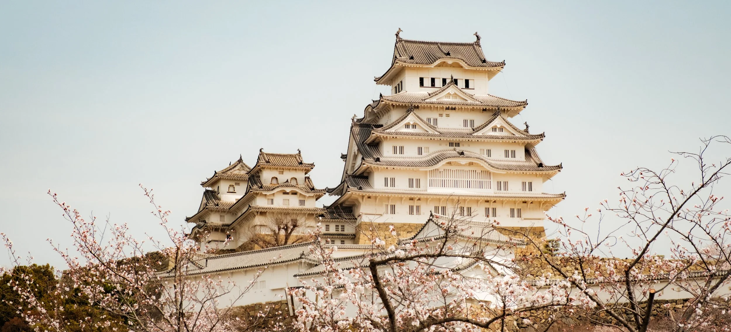 Hanami-5302.jpg