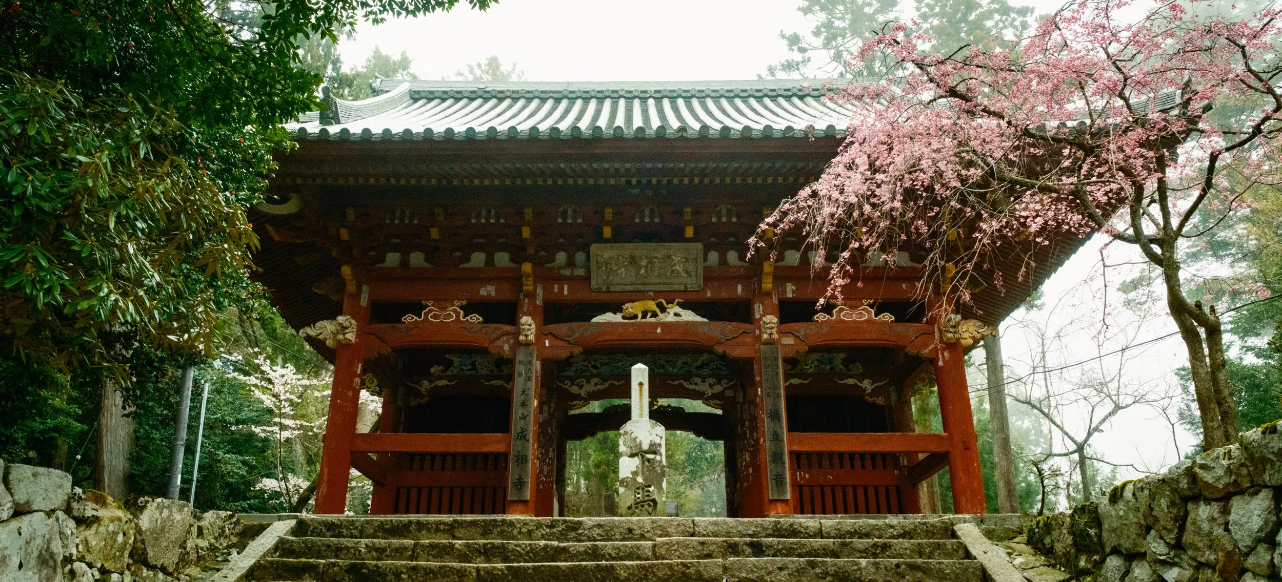 Hanami-9459.jpg