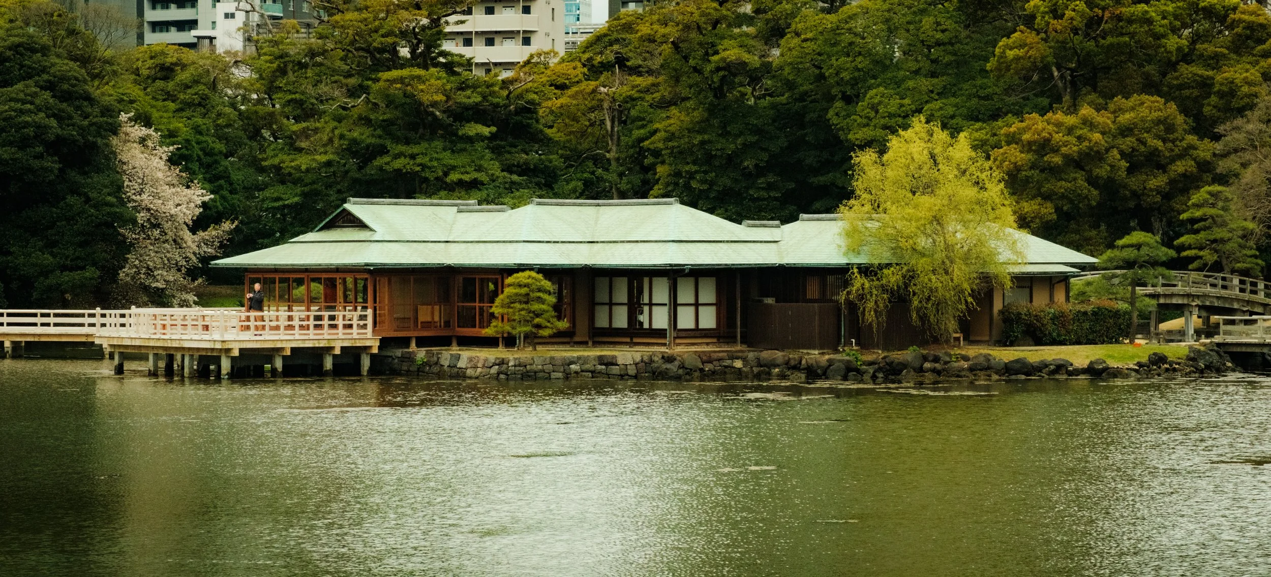 Hanami-2813.jpg