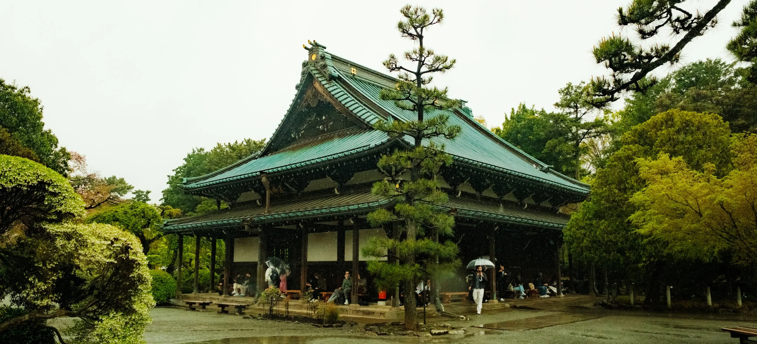 Hanami-10488.jpg