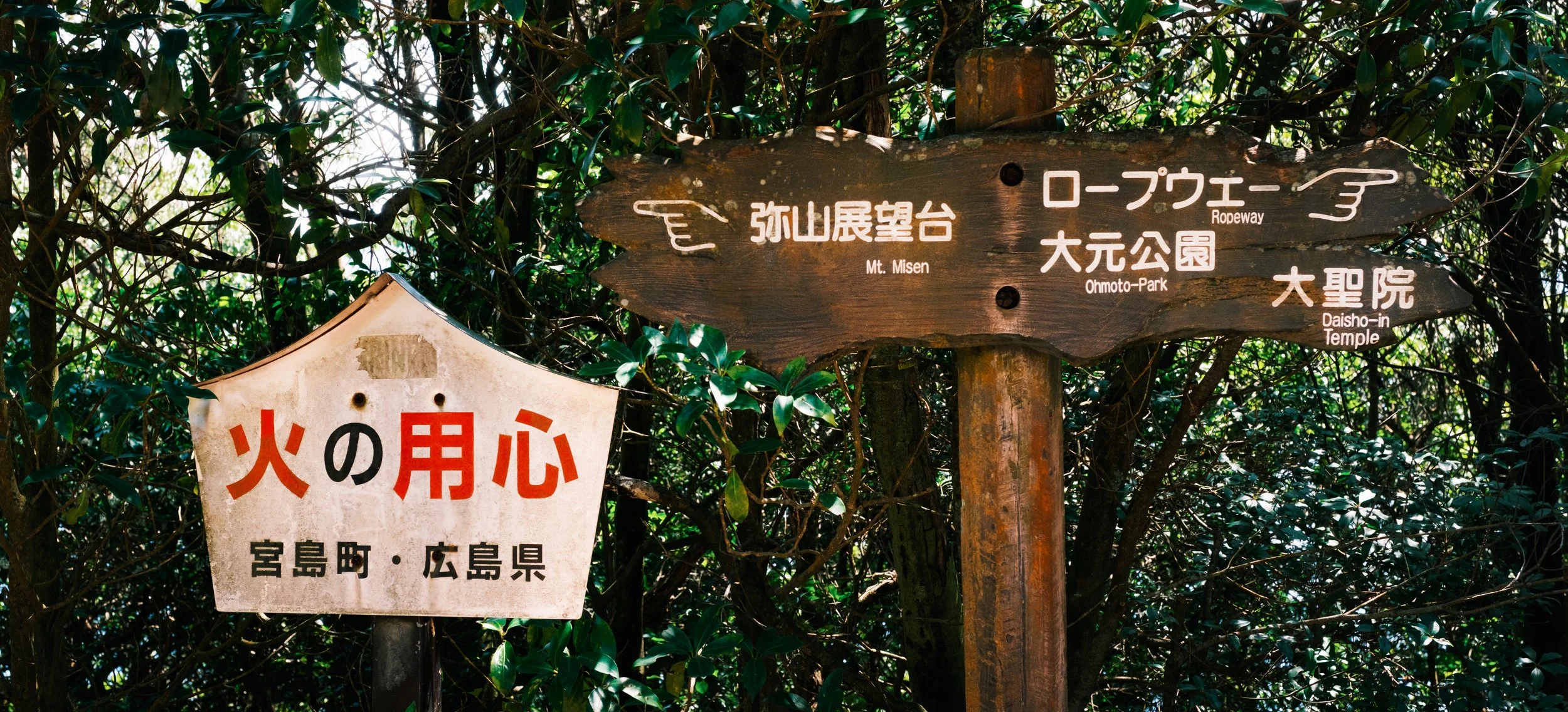 Hanami-3656.jpg