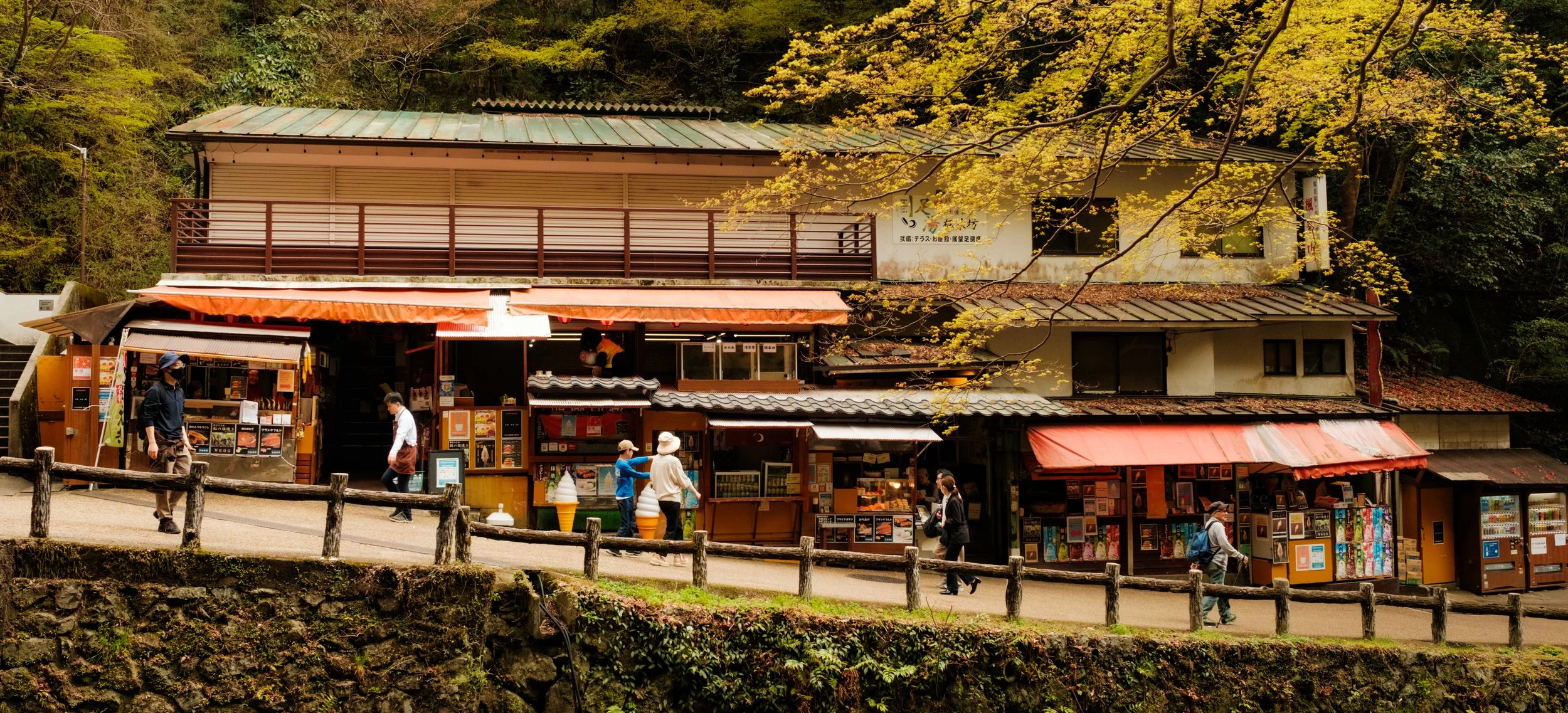 Hanami-6005.jpg