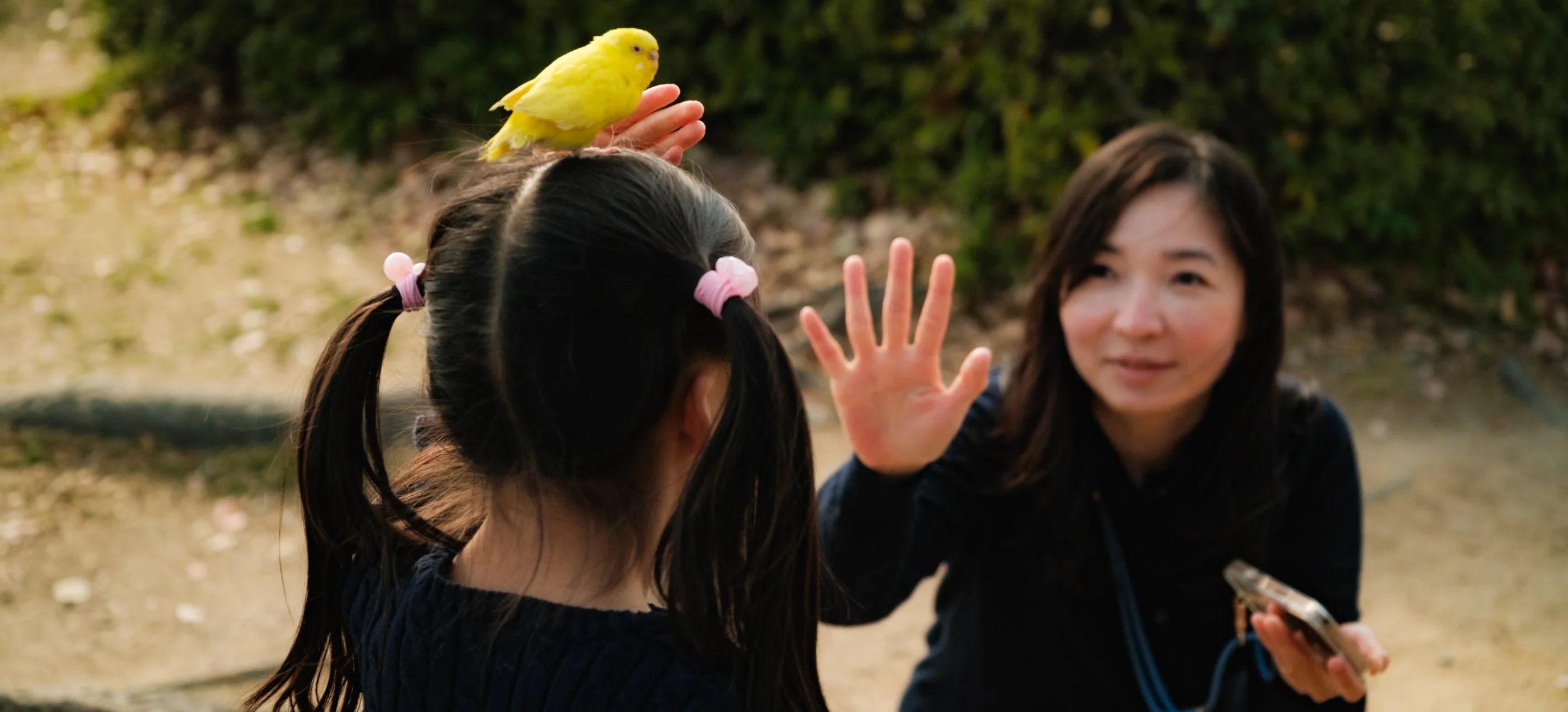 Hanami-5004.jpg