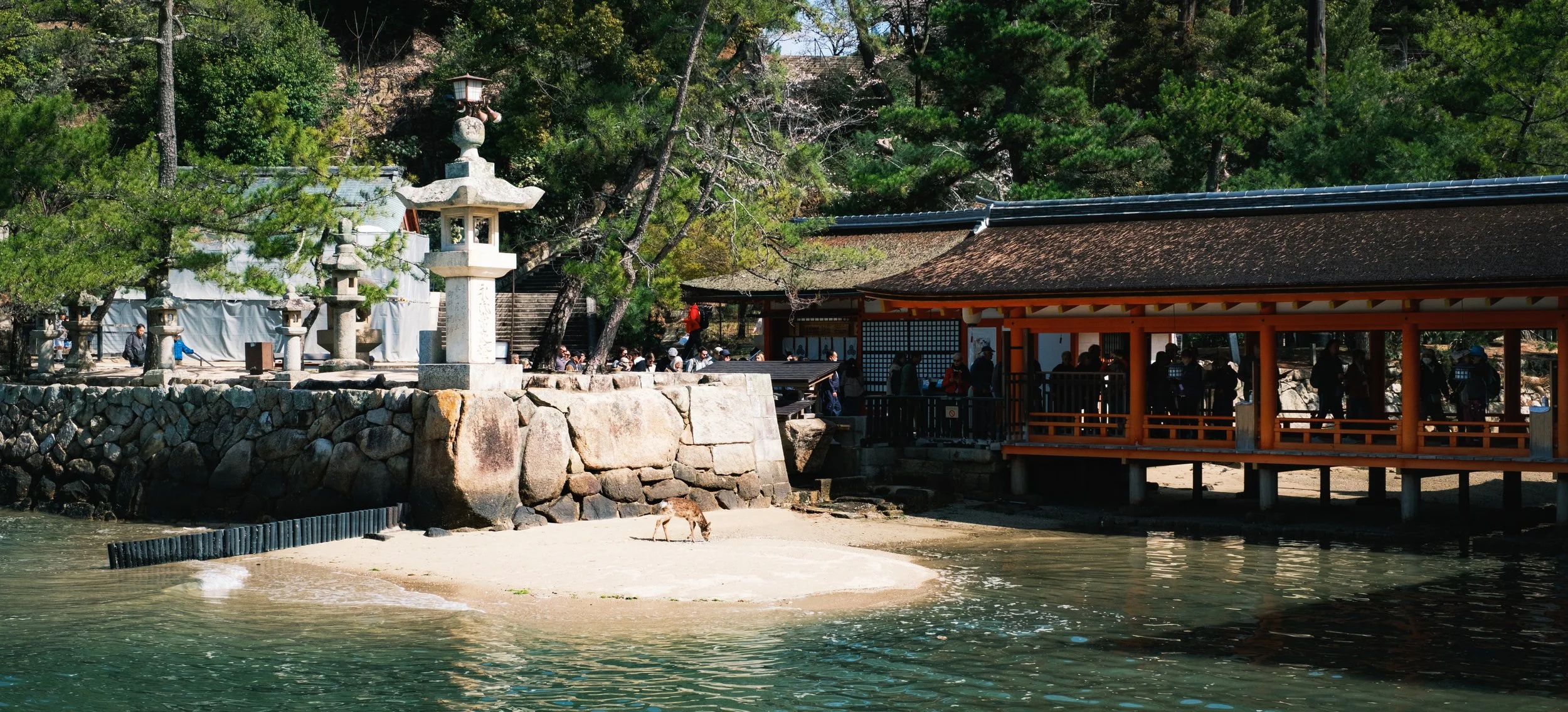 Hanami-3508.jpg