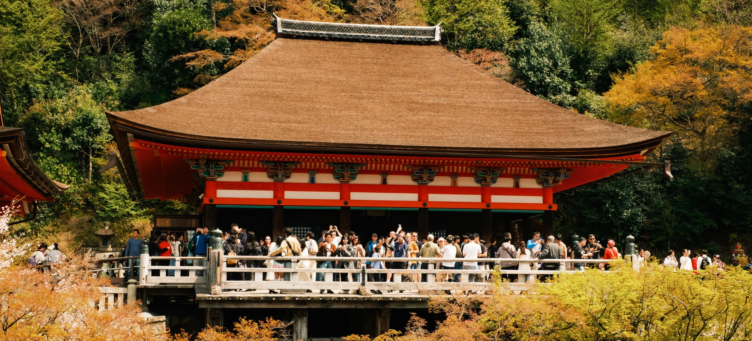 Hanami-6996.jpg