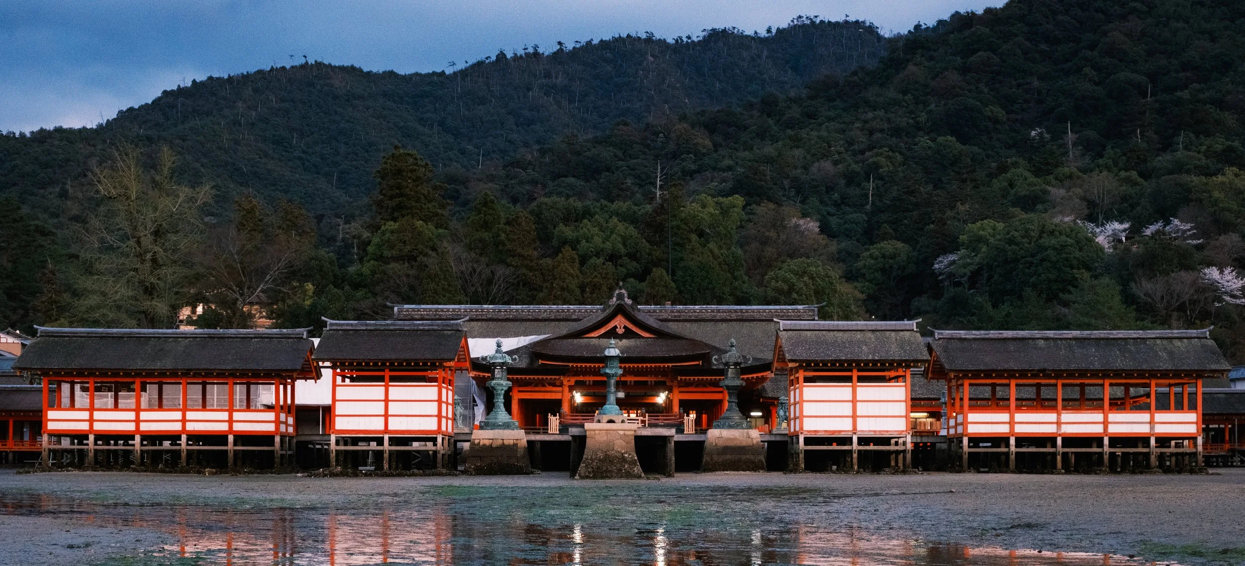 Hanami-4071.jpg