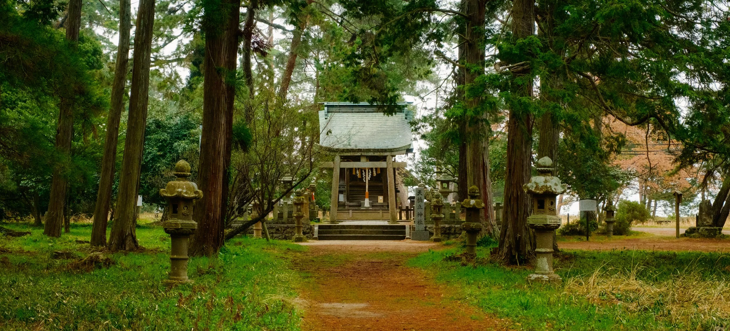 Hanami-9309.jpg