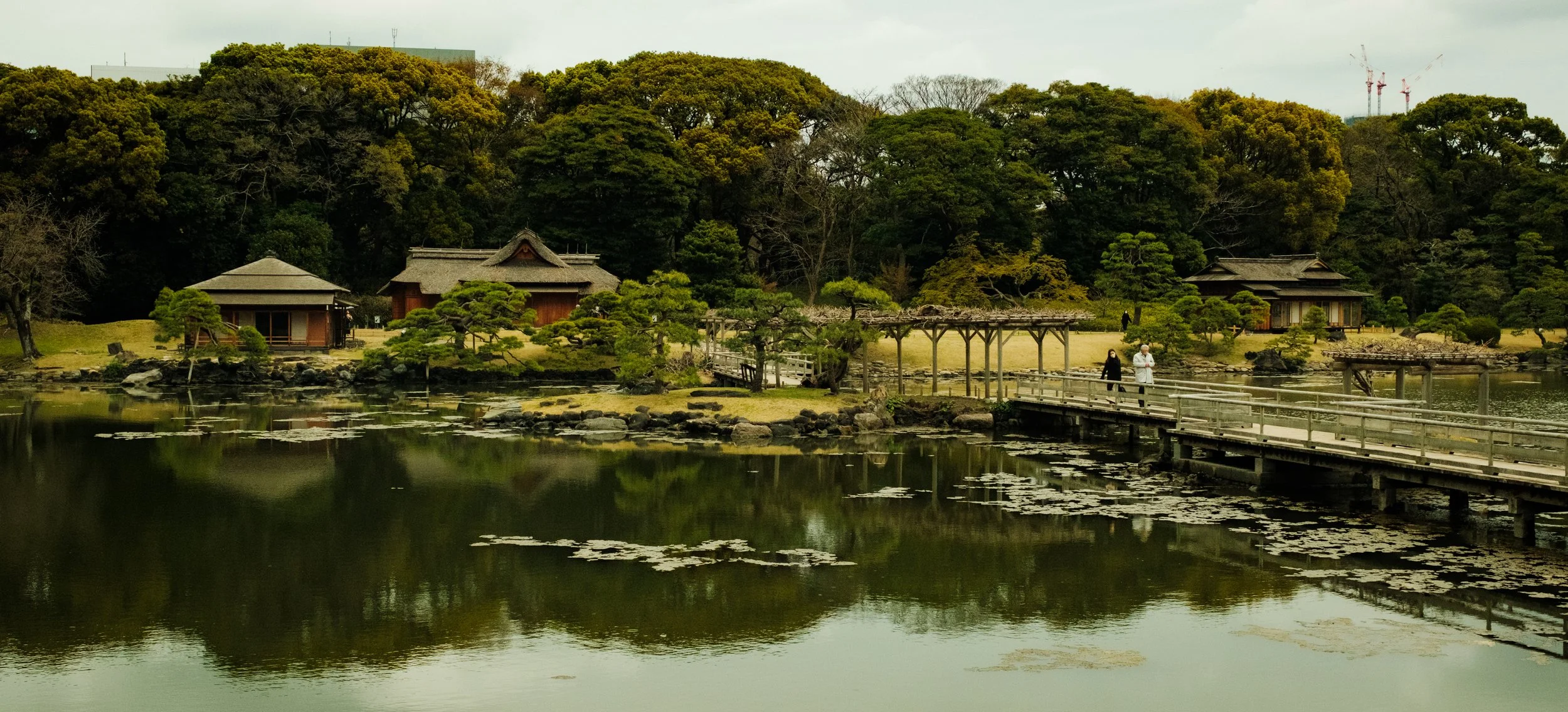 Hanami-2776.jpg