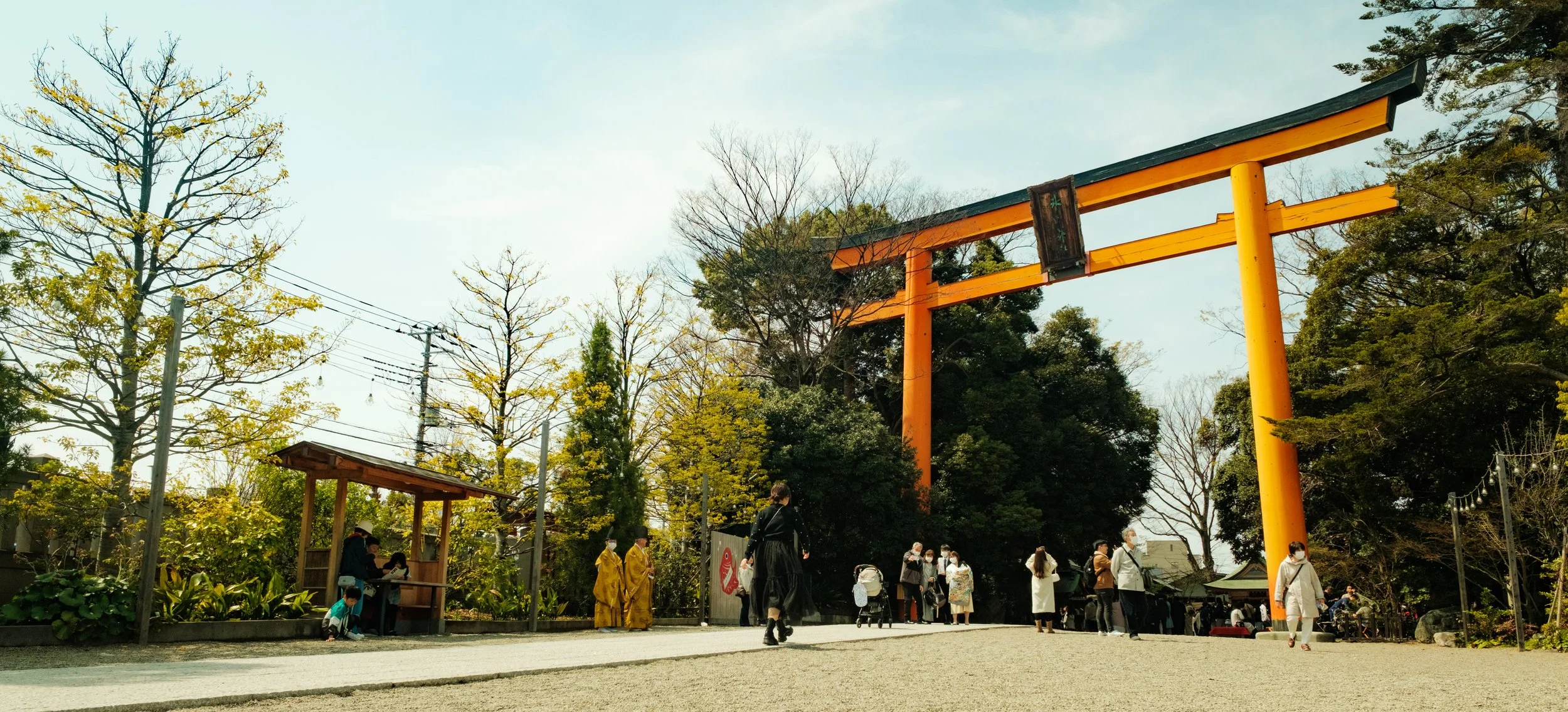 Hanami-1921.jpg