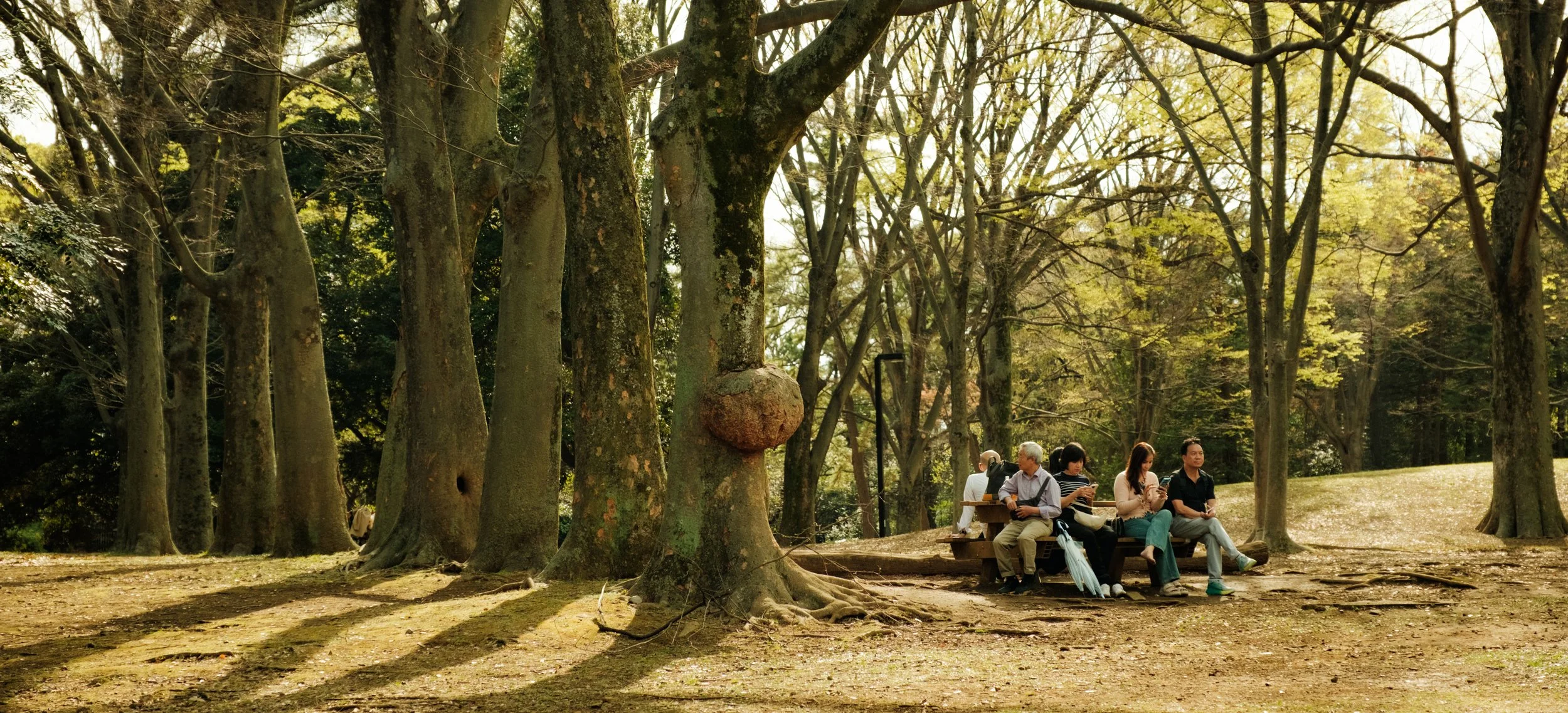Hanami-706.jpg