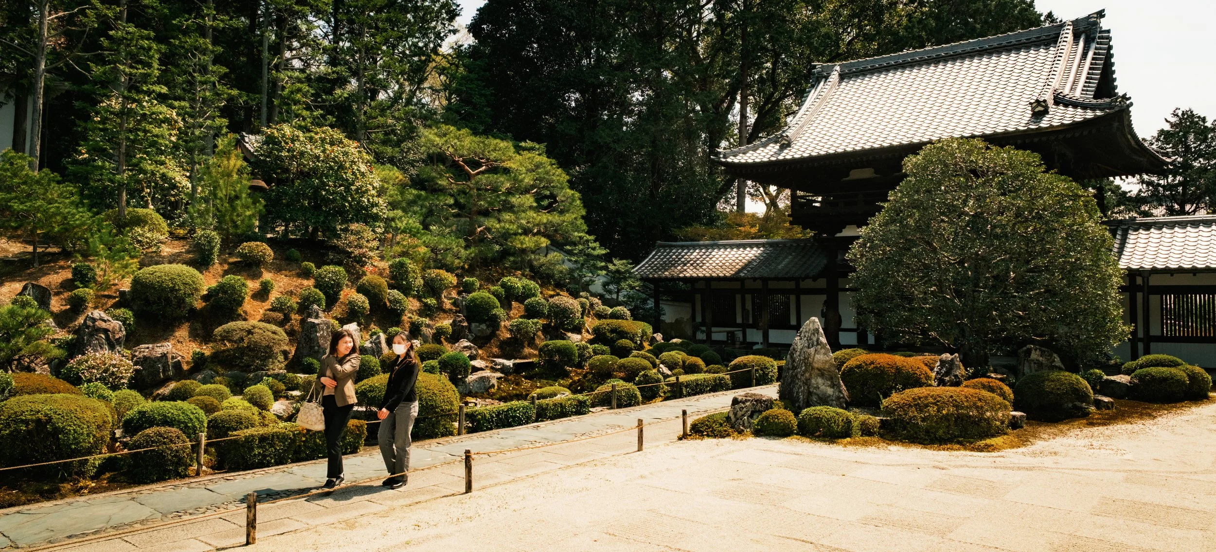 Hanami-7654.jpg