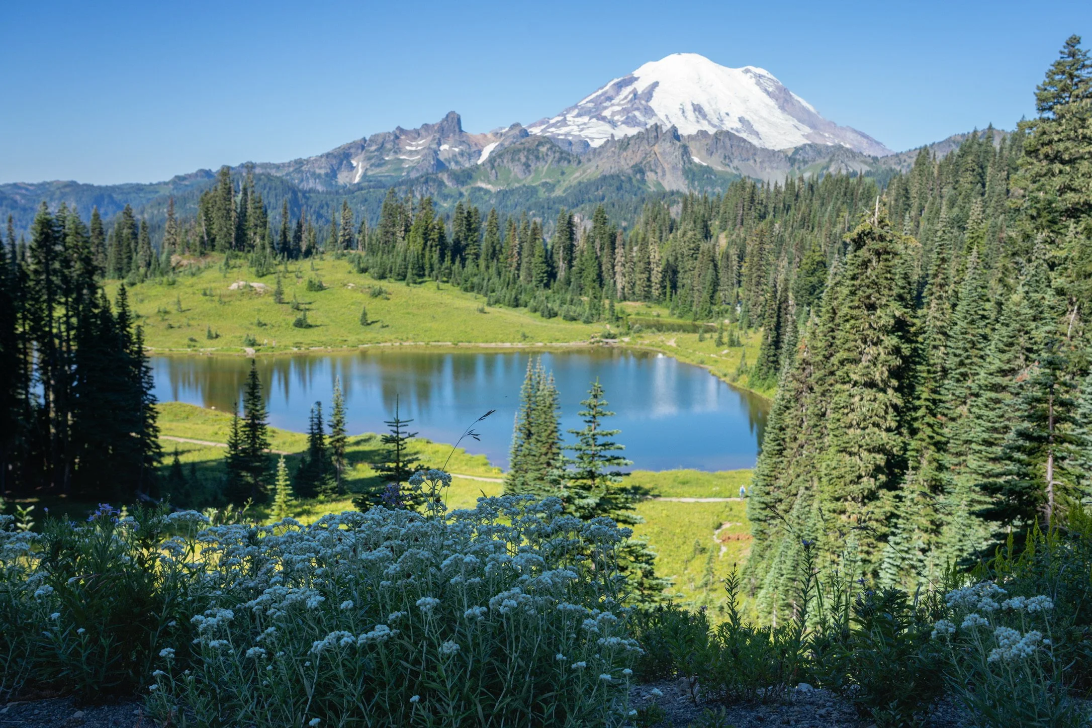 Tipsoo Lake