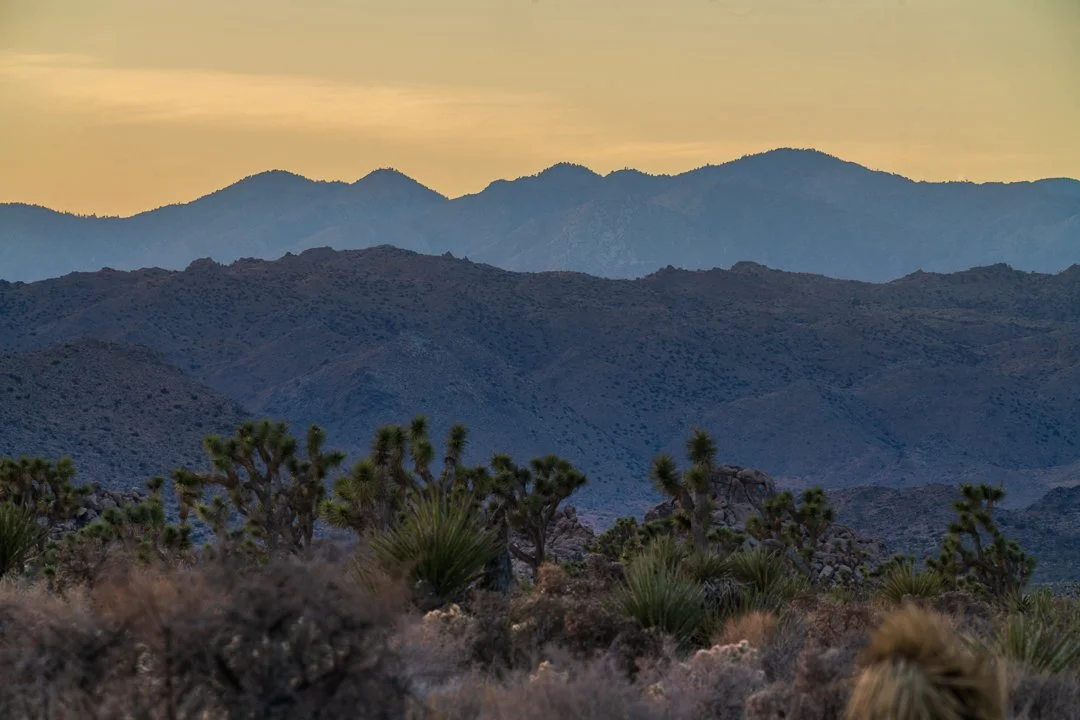 Joshua Tree Sunset 