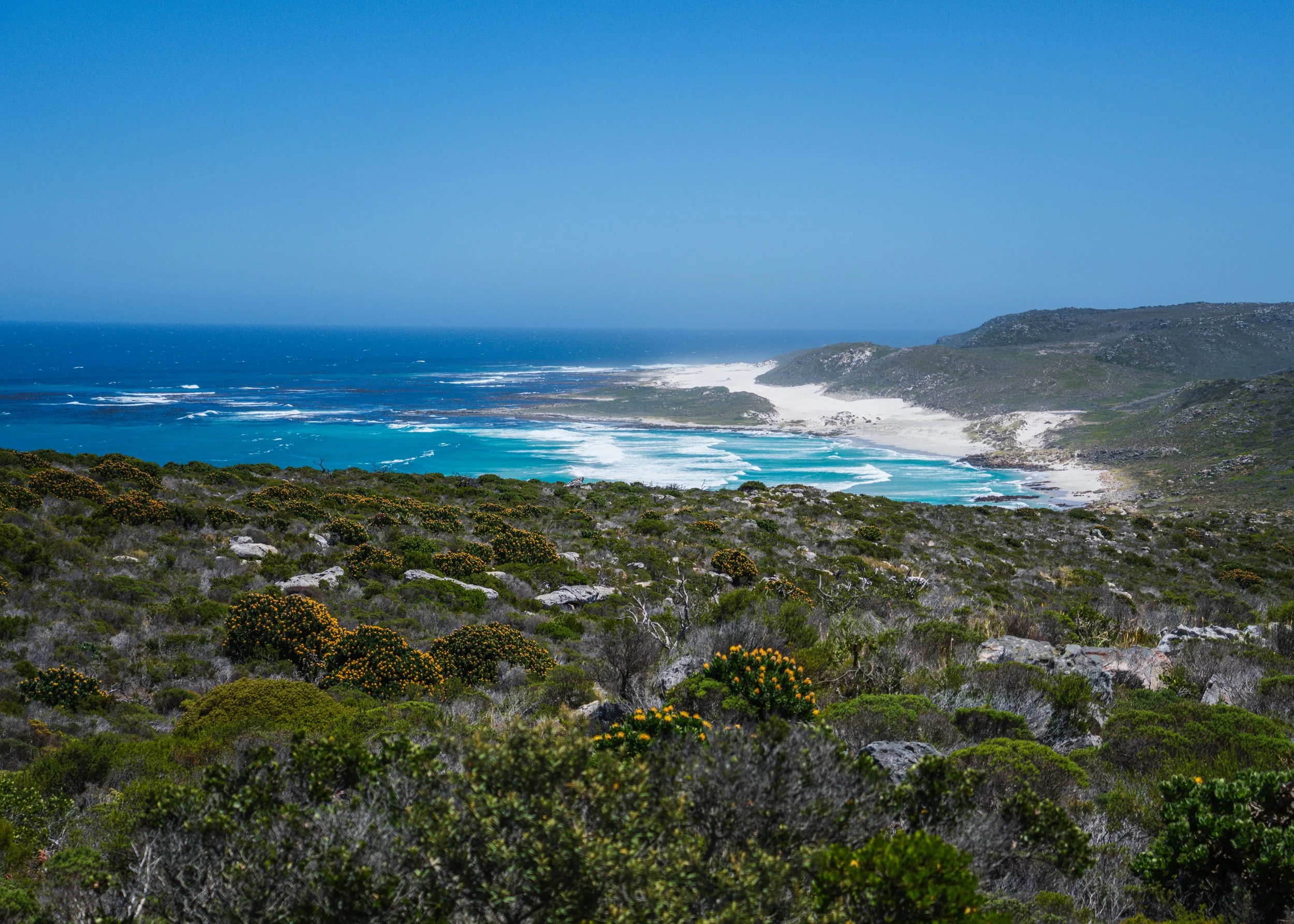 Cape Town-01.jpg