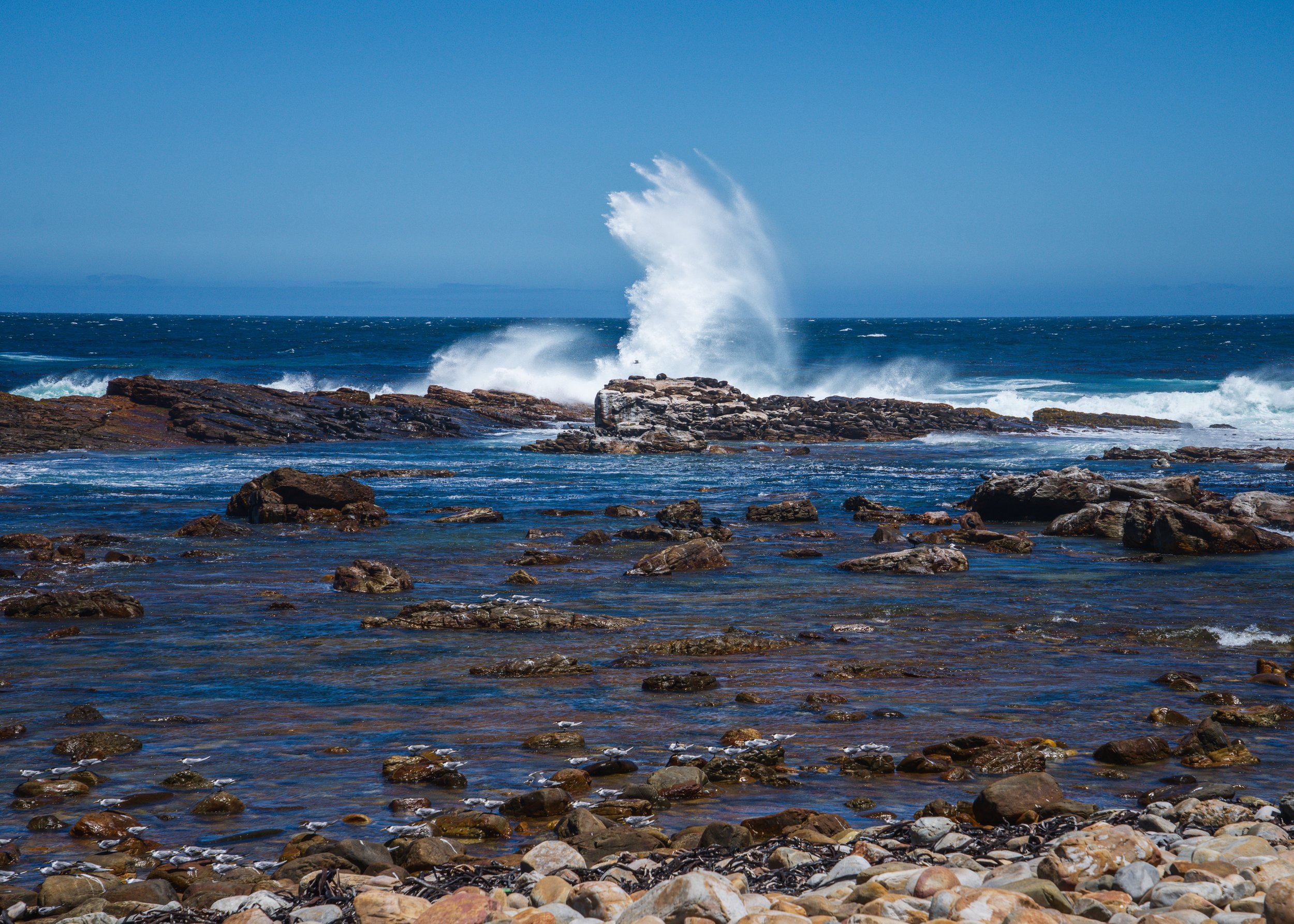 Cape Town-02.jpg