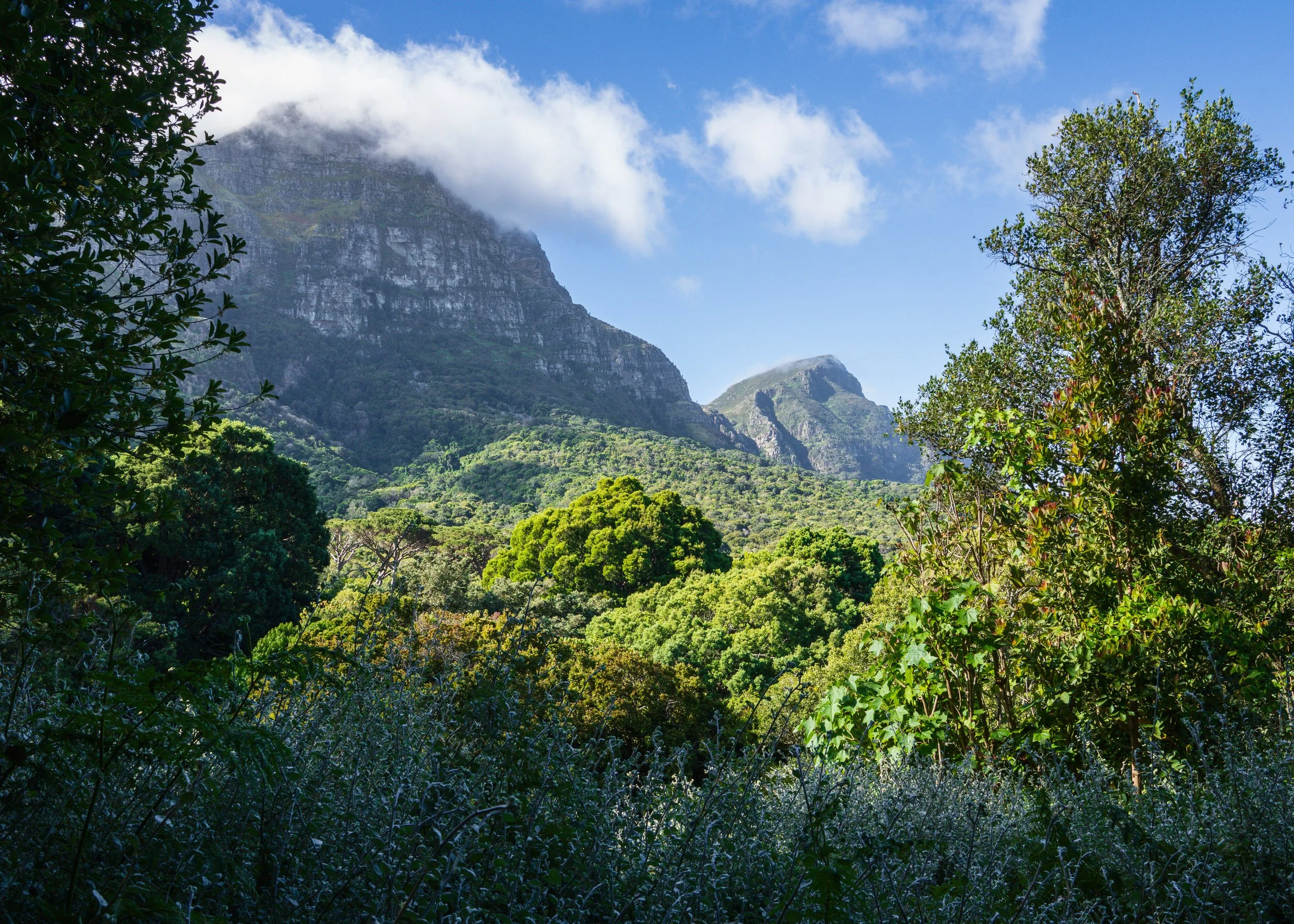 Cape Town-03.jpg