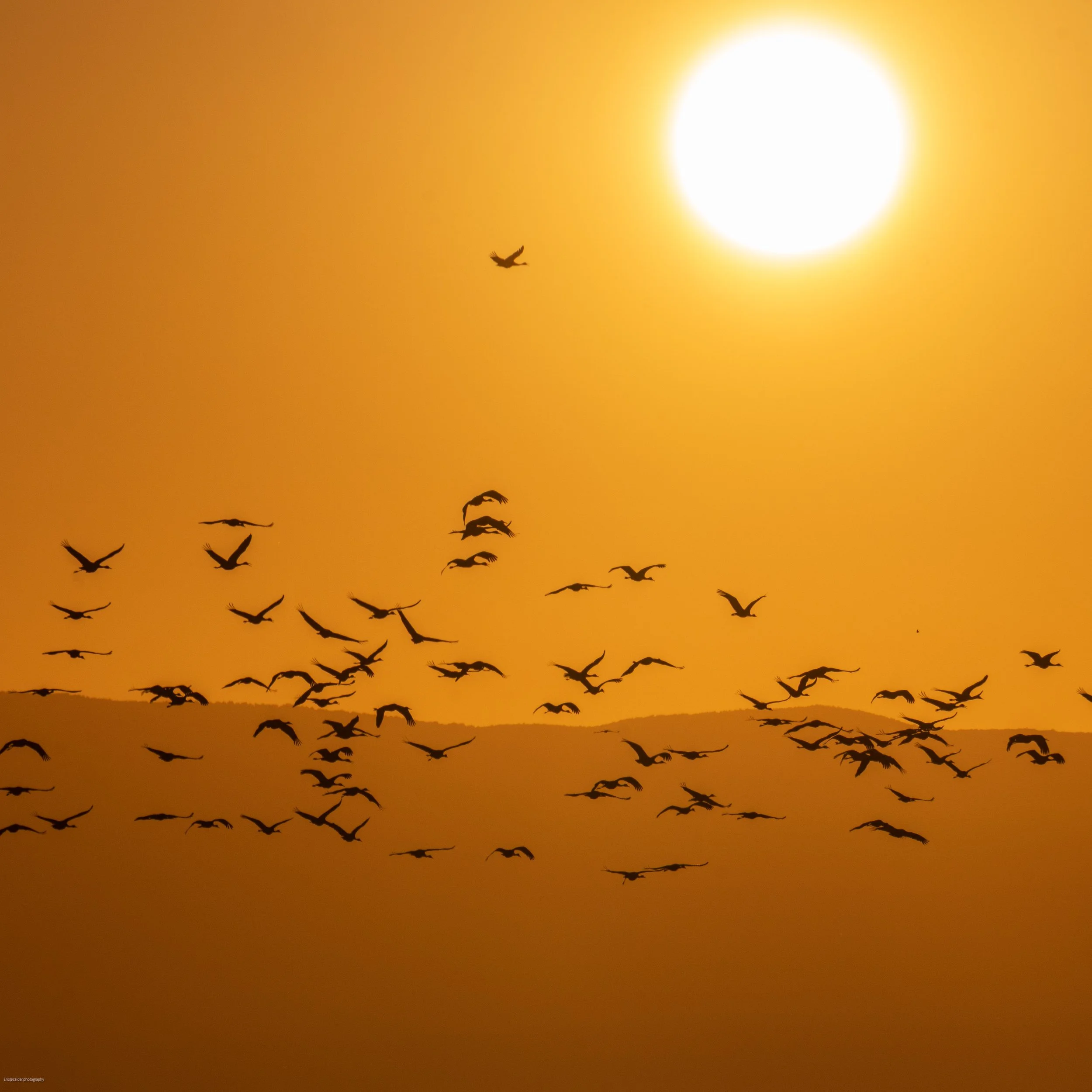 Trip Name-Year-04.jpg