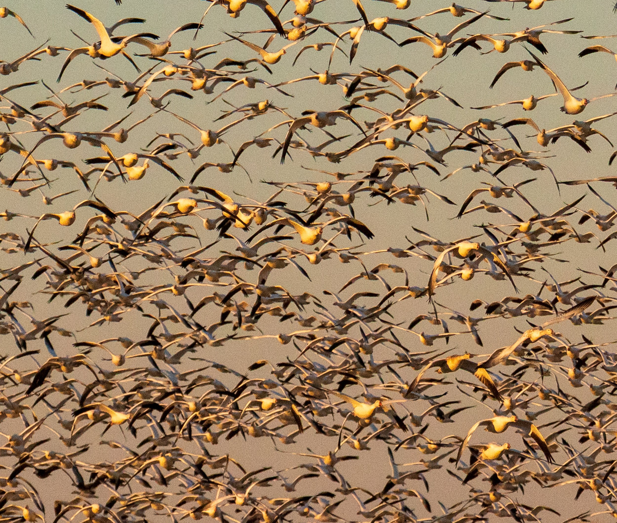 Trip Name-Year-01.jpg