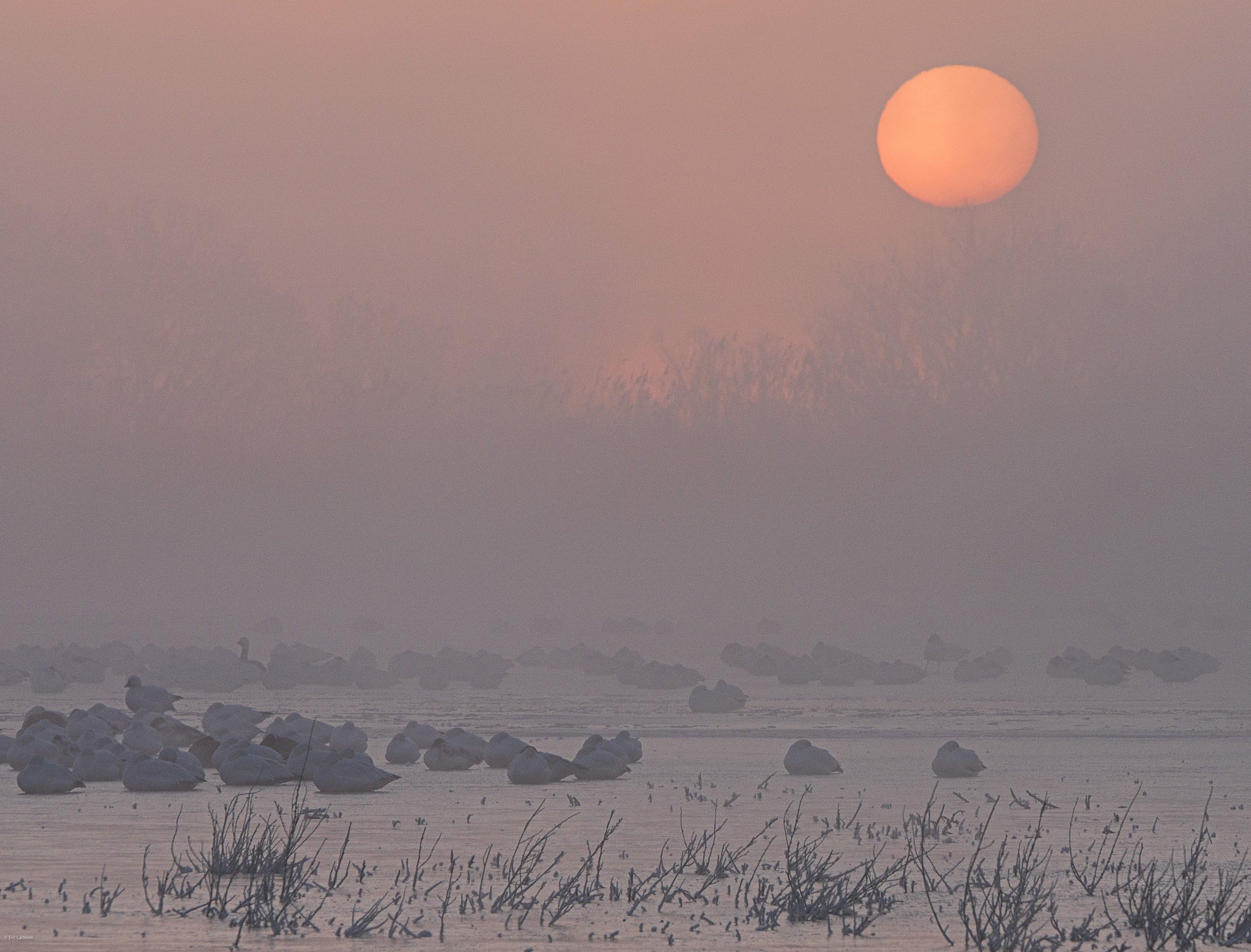 Trip Name-Year-03-Website Export-2.jpg