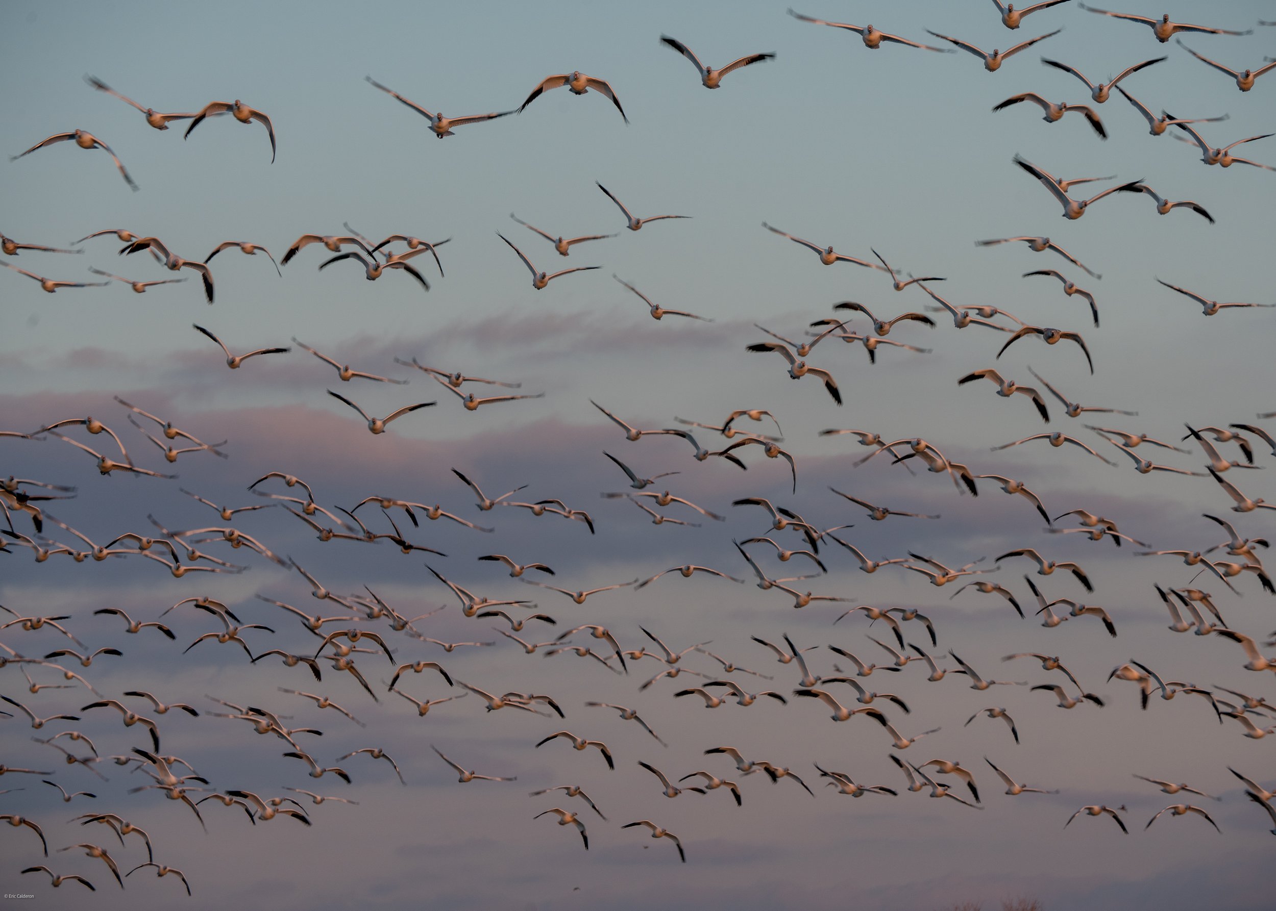 Trip Name-Year-01-Website Export-2.jpg