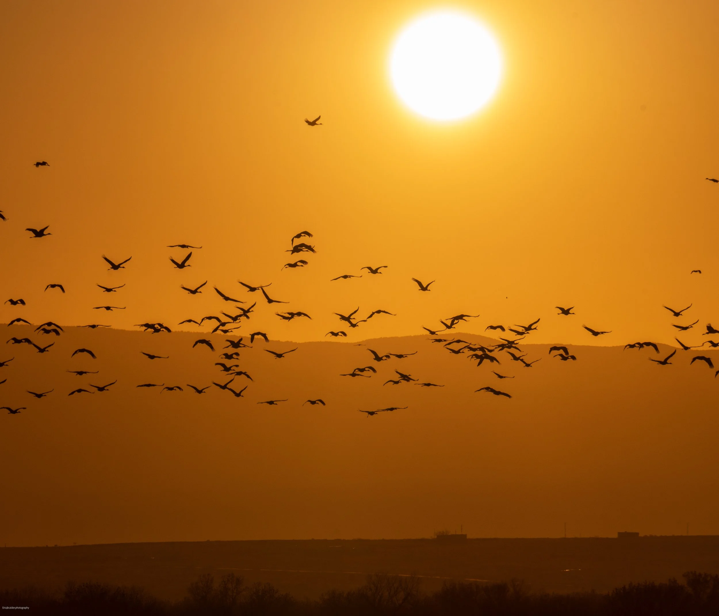 Trip Name-Year-03.jpg