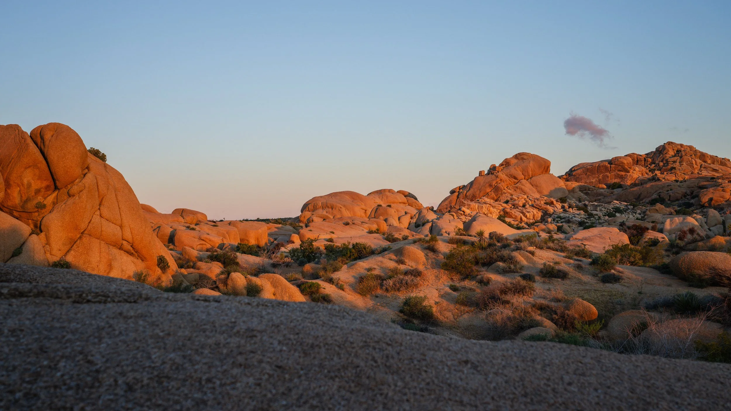 Joshua Tree Natl. Park