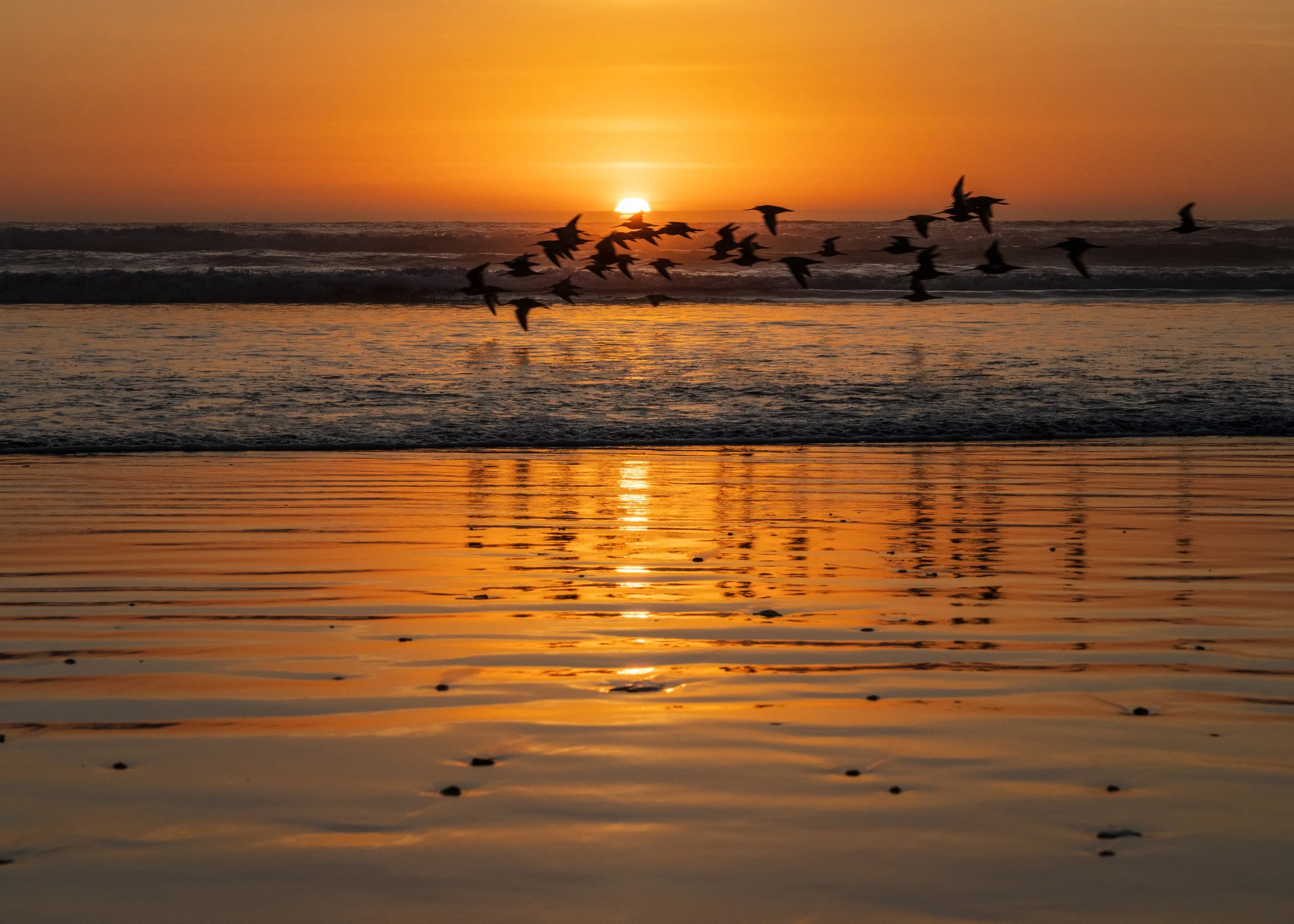 Morro Beach
