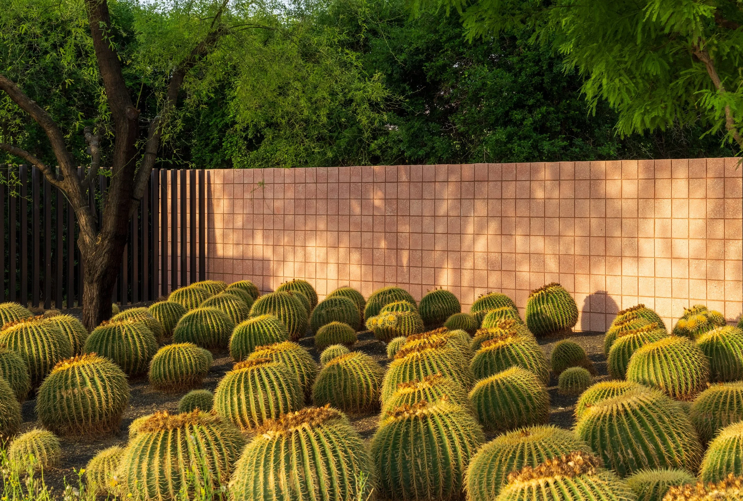 Palm Springs-3.jpg