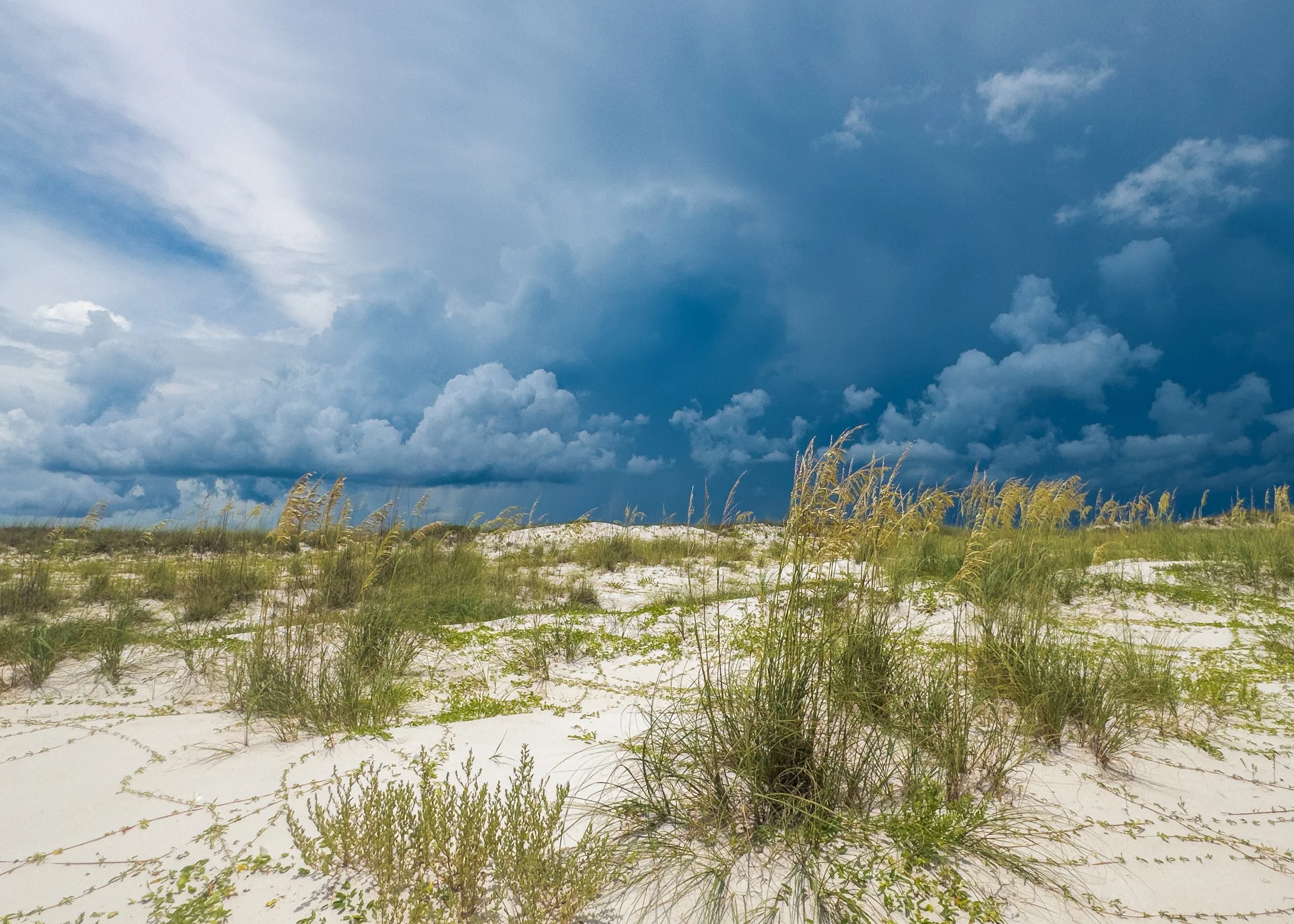 2026_Florida-05.jpg