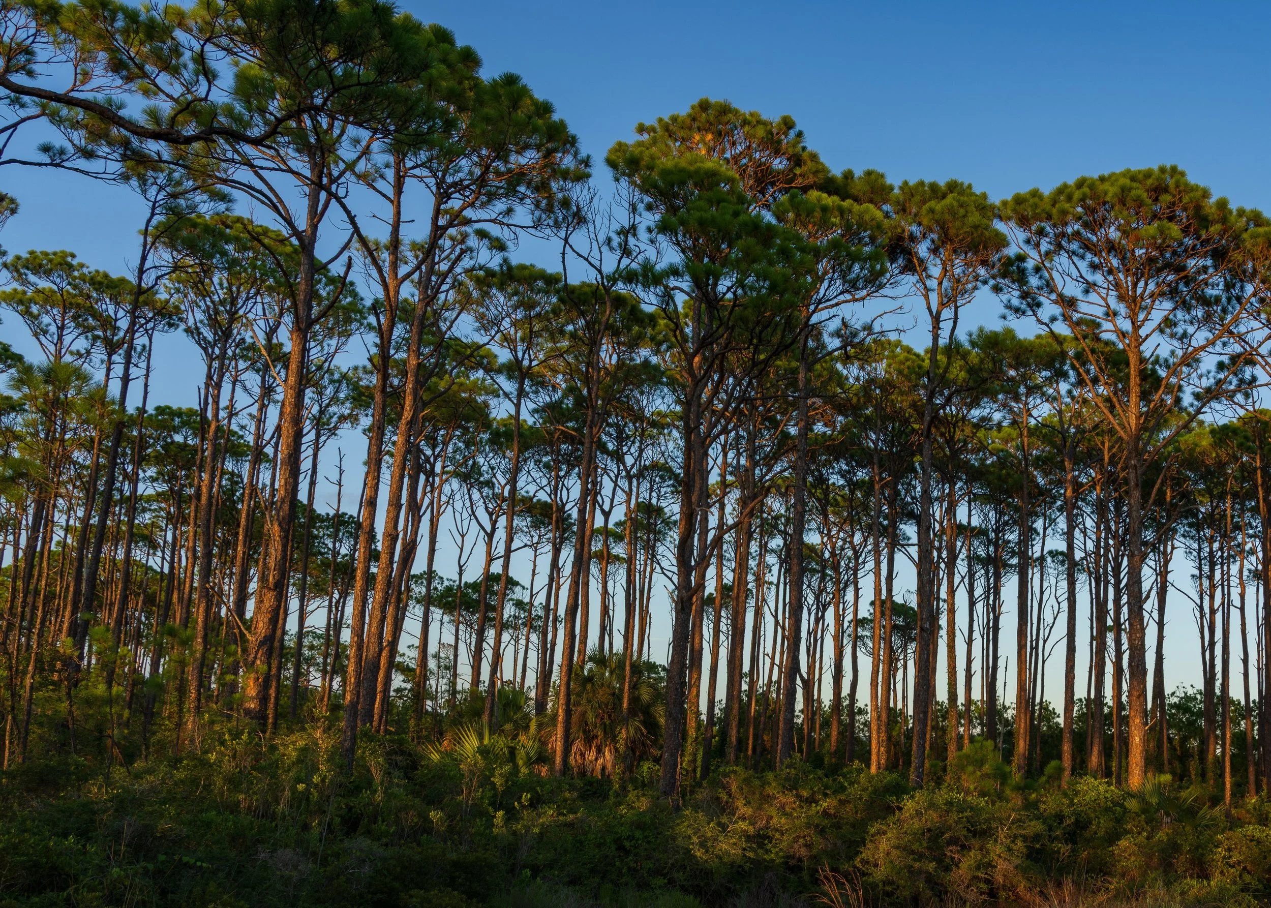 2026_Florida-23.jpg